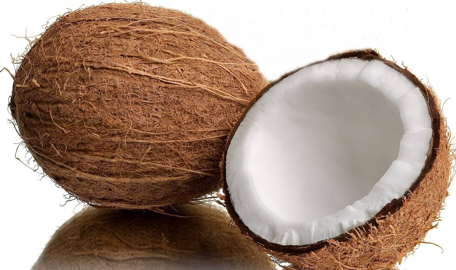 whole coconut fruit, fibrous brown husk, creamy white interior, Full HD Desktop Wallpaper