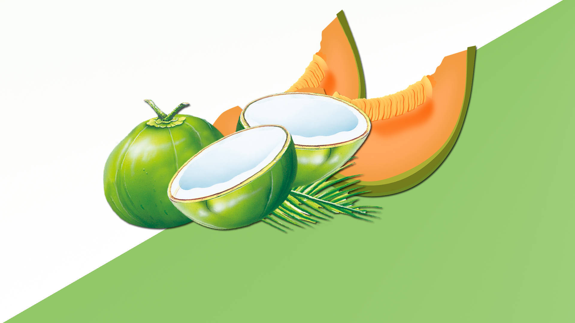 sliced coconuts, melons, Full HD Desktop Wallpaper