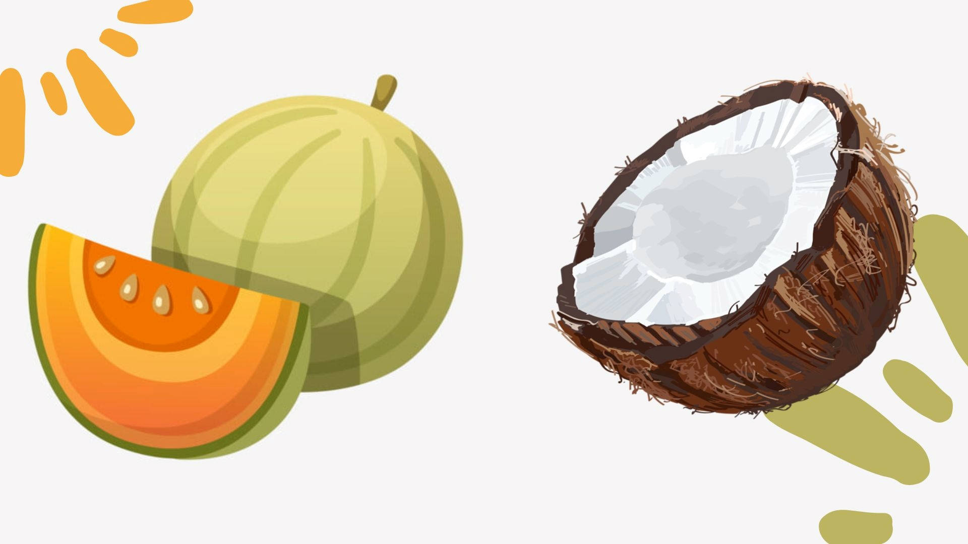 coconut, melon, fruit slices, Full HD Desktop Wallpaper