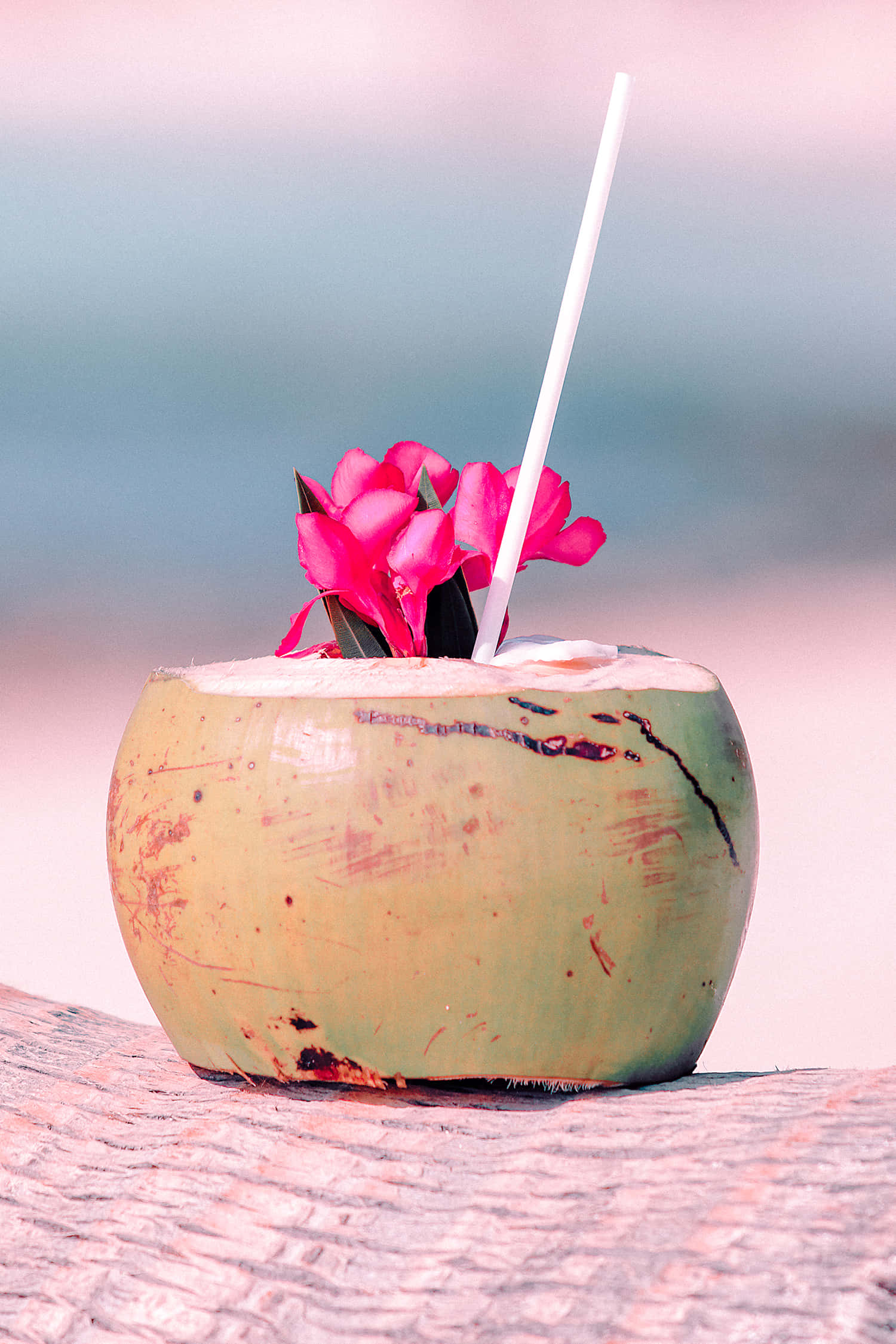 tropical coconut drink, pink flowers, straw, Full HD Phone Wallpaper