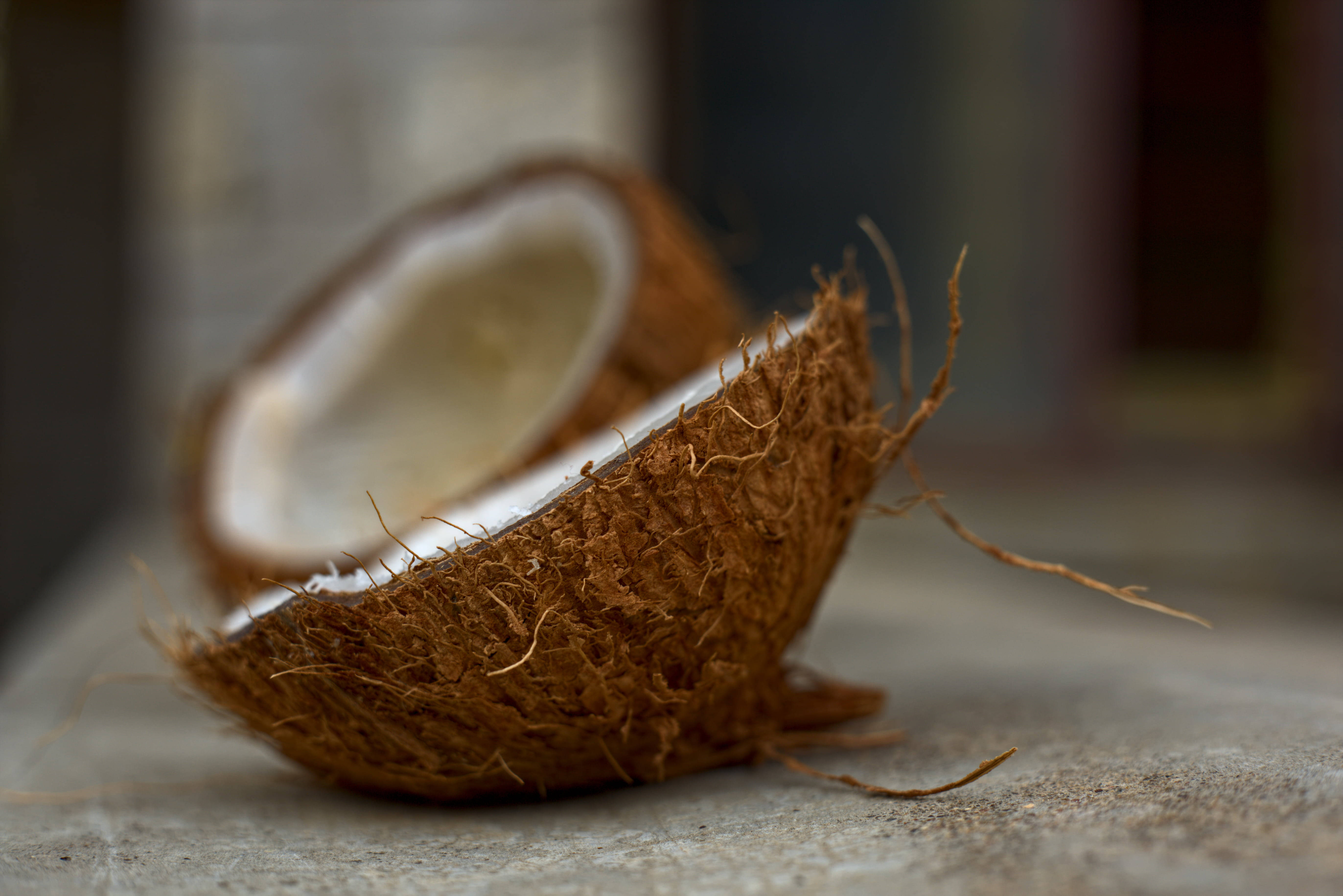 hard coconut shell, cracked open coconut, fibrous brown husk, 5K Desktop Wallpaper