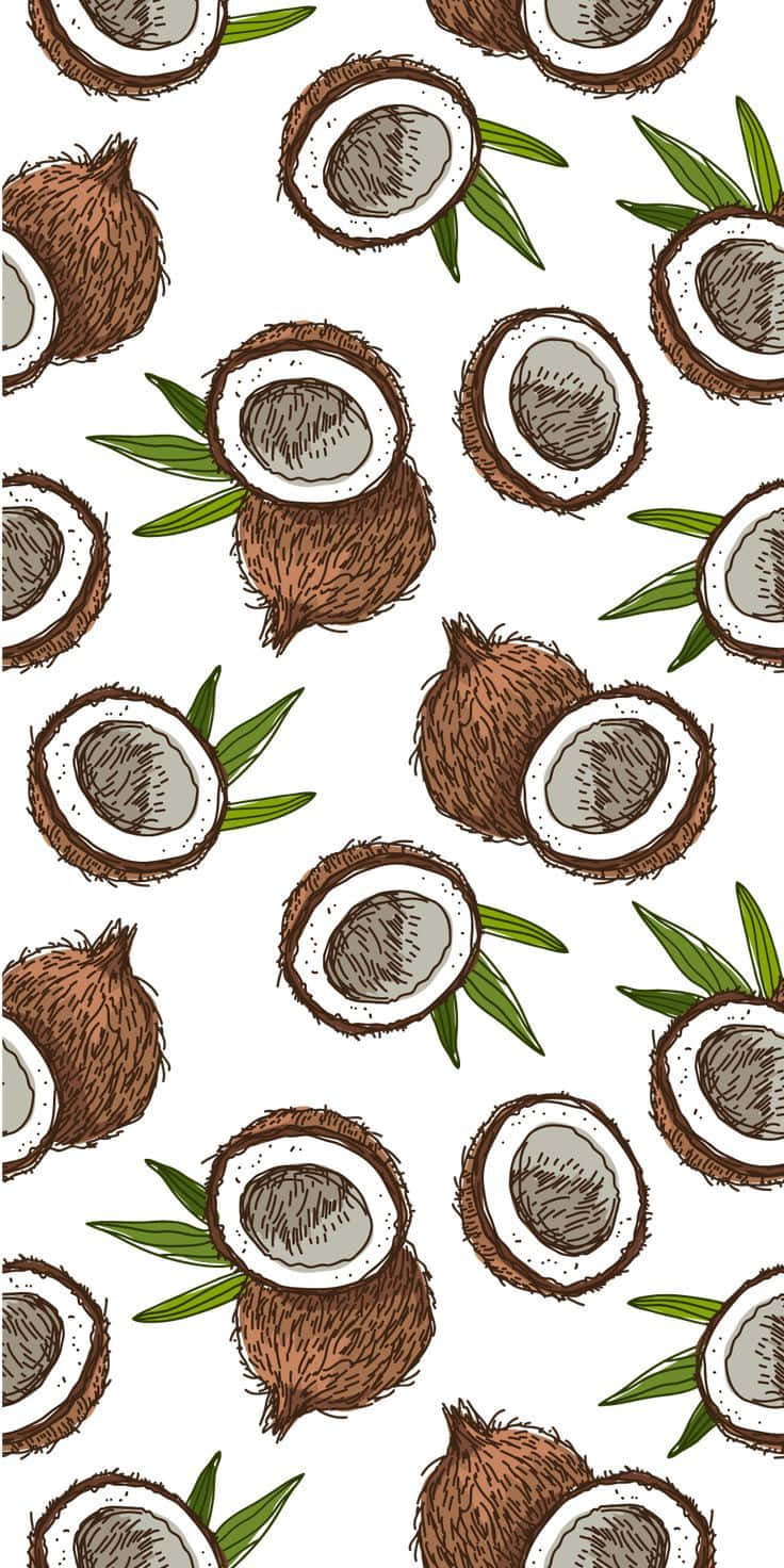 tropical coconut pattern, hand-drawn coconuts, green leaves, HD Phone Wallpaper