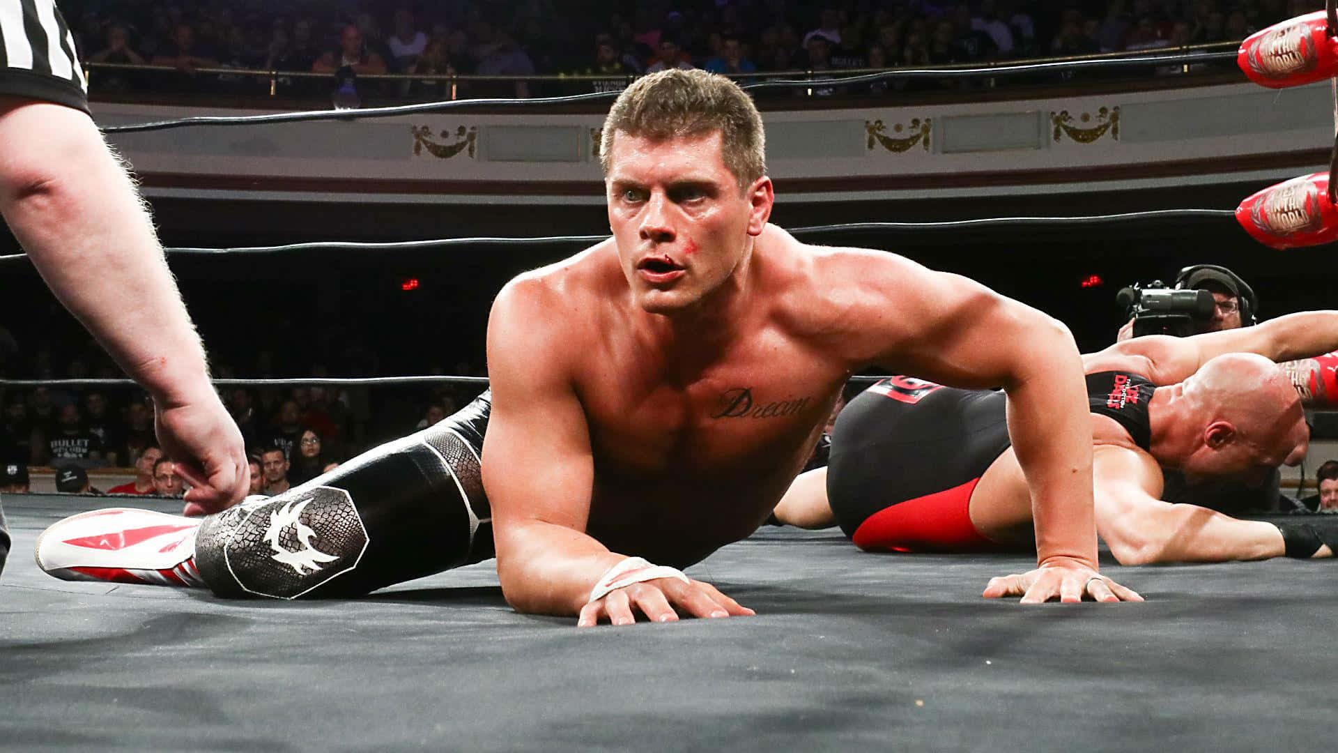 Cody Rhodes, wrestler, championship wrestler, Full HD Desktop Wallpaper