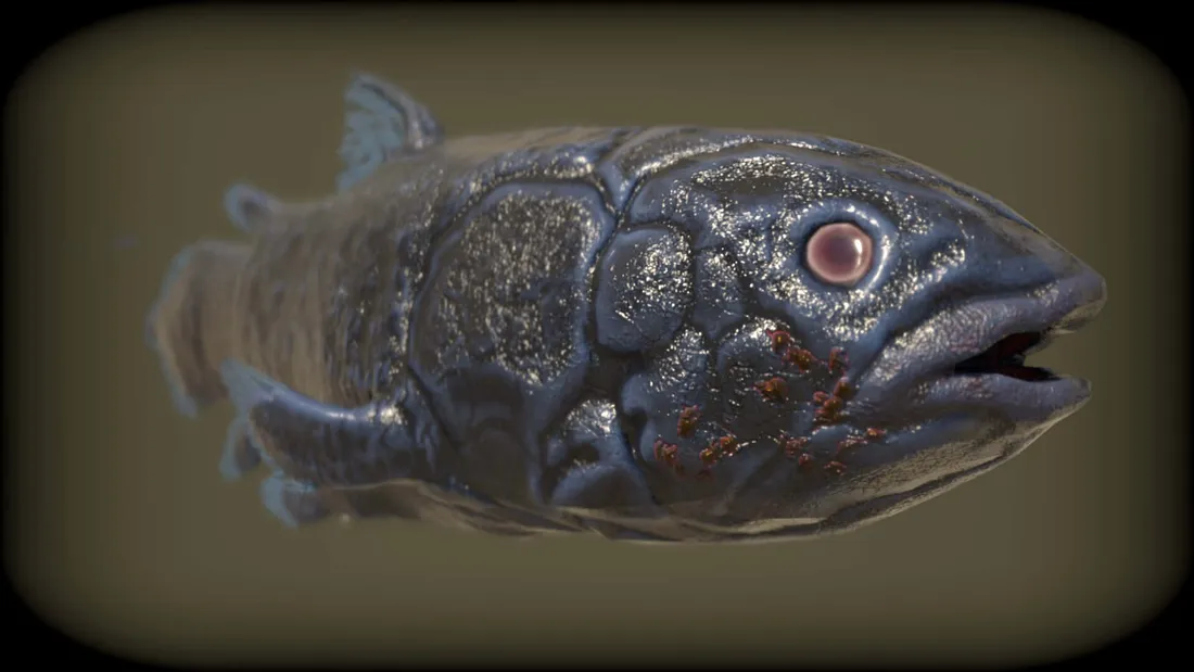 Coelacanth