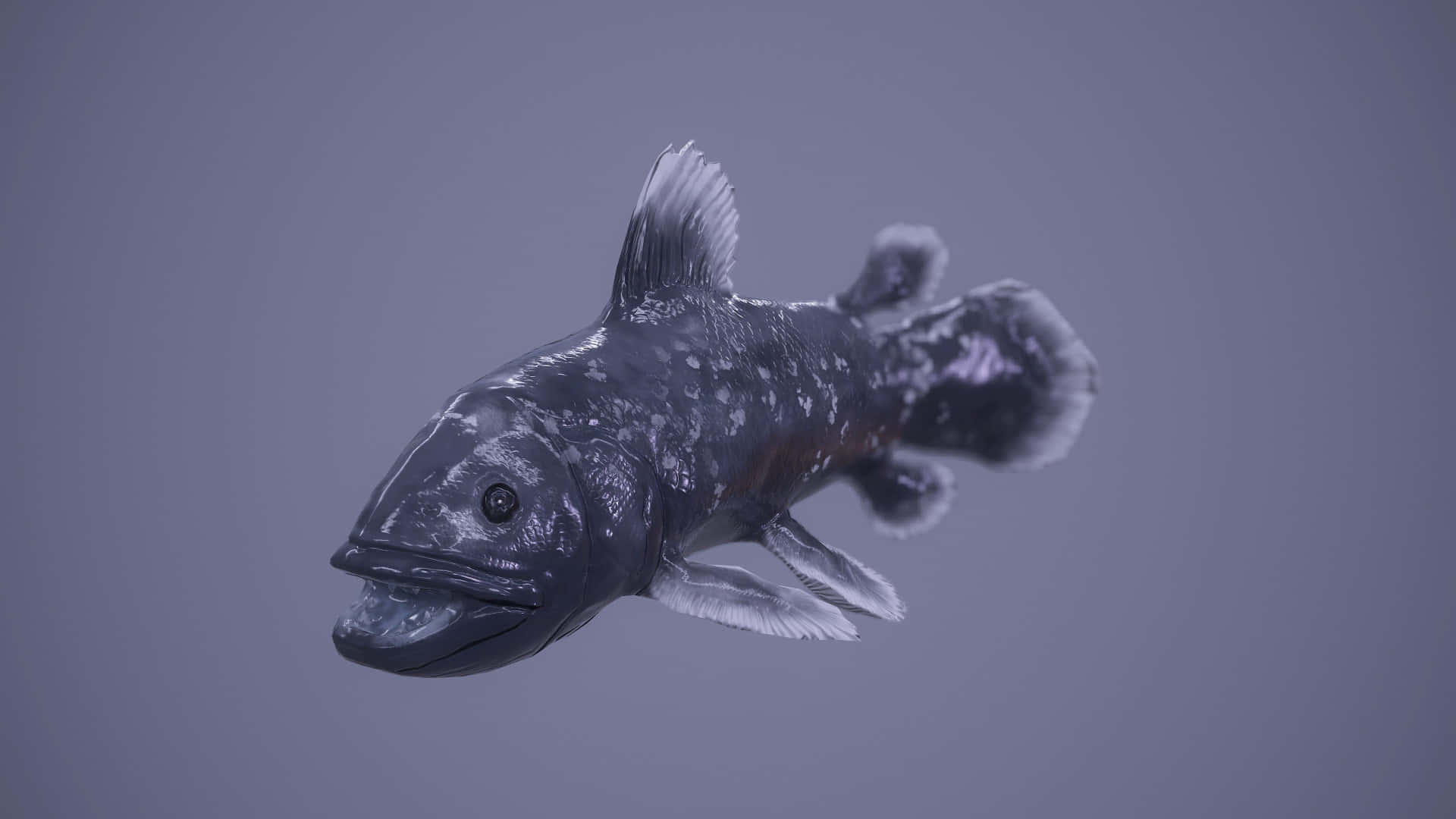 Coelacanth, dark gray, white speckles, Full HD Desktop Wallpaper