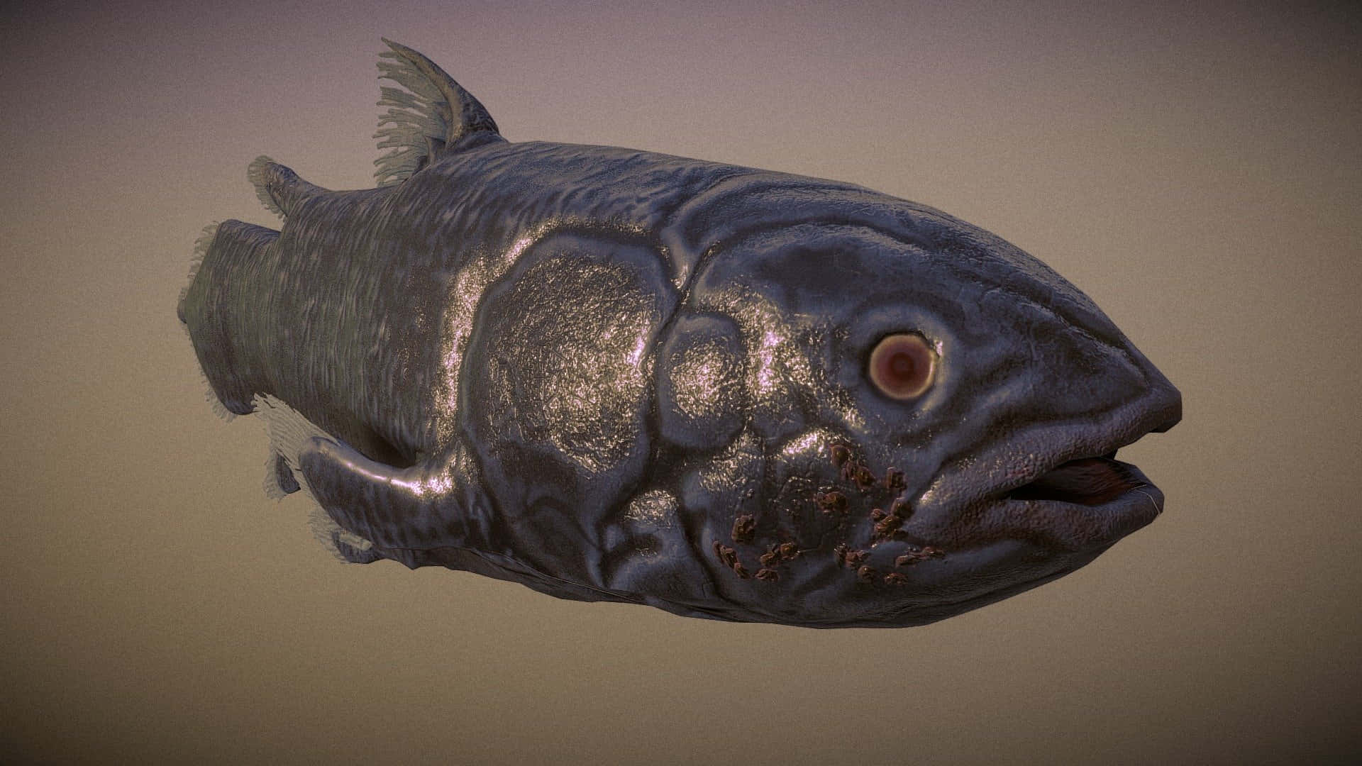 Coelacanth, dark gray, textured scales, Full HD Desktop Wallpaper