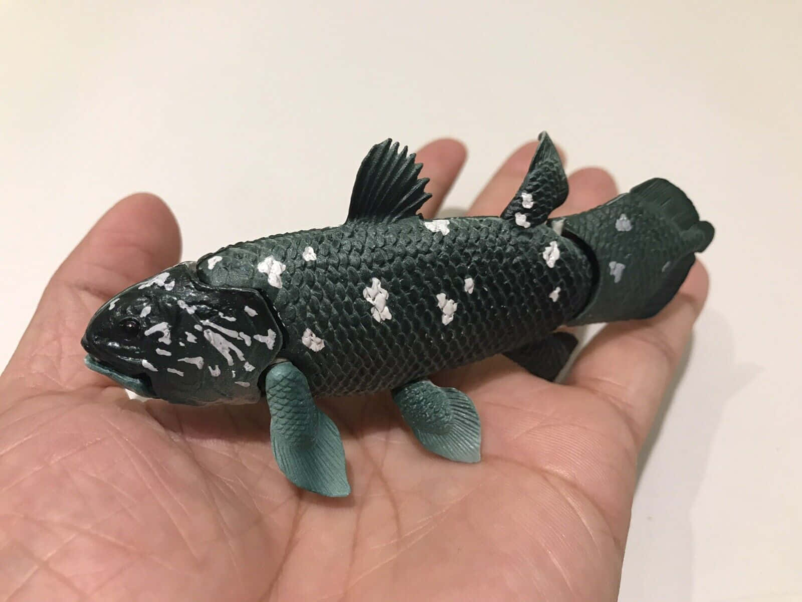 Coelacanth, dark green fish figurine, white spots, HD Desktop Wallpaper