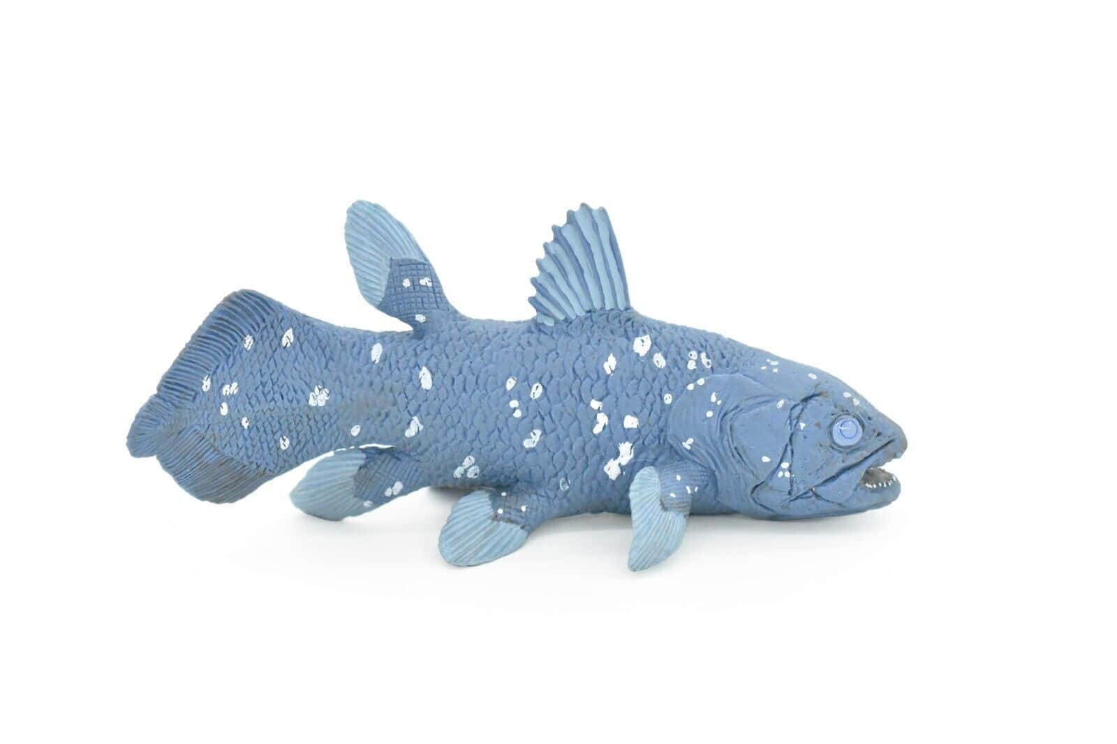 Coelacanth, blue, textured fish figurine, HD Desktop Wallpaper