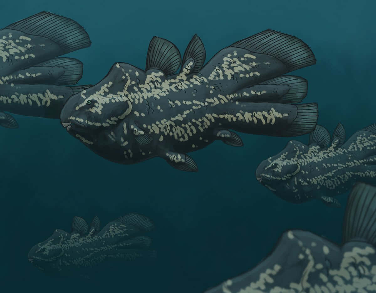 coelacanths, spotted patterns, deep teal water, SD Desktop Wallpaper