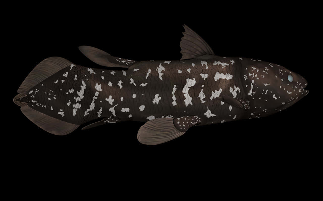 Coelacanth, dark brown, white speckled patterns, HD Desktop Wallpaper