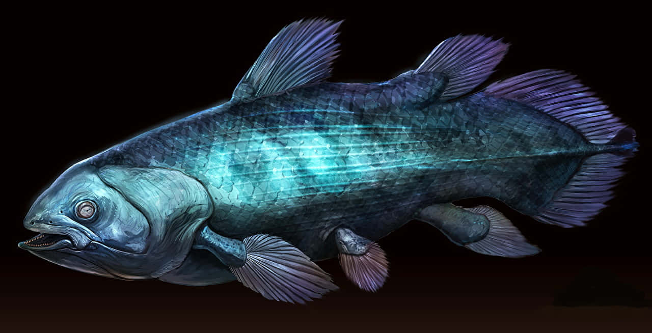 Coelacanth, glowing blue scales, purple fins, HD Desktop Wallpaper