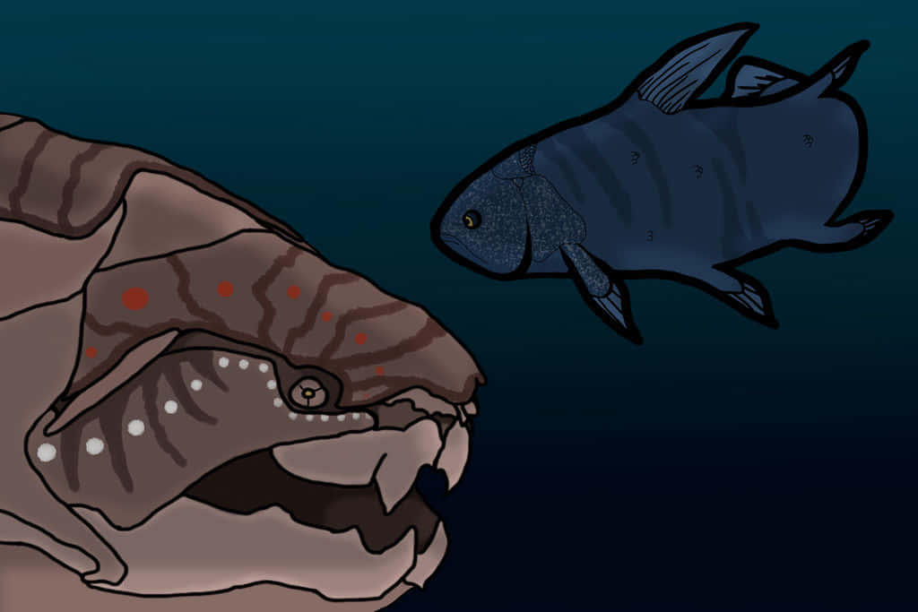 Coelacanth, red spots, sleek blue fish, SD Desktop Wallpaper