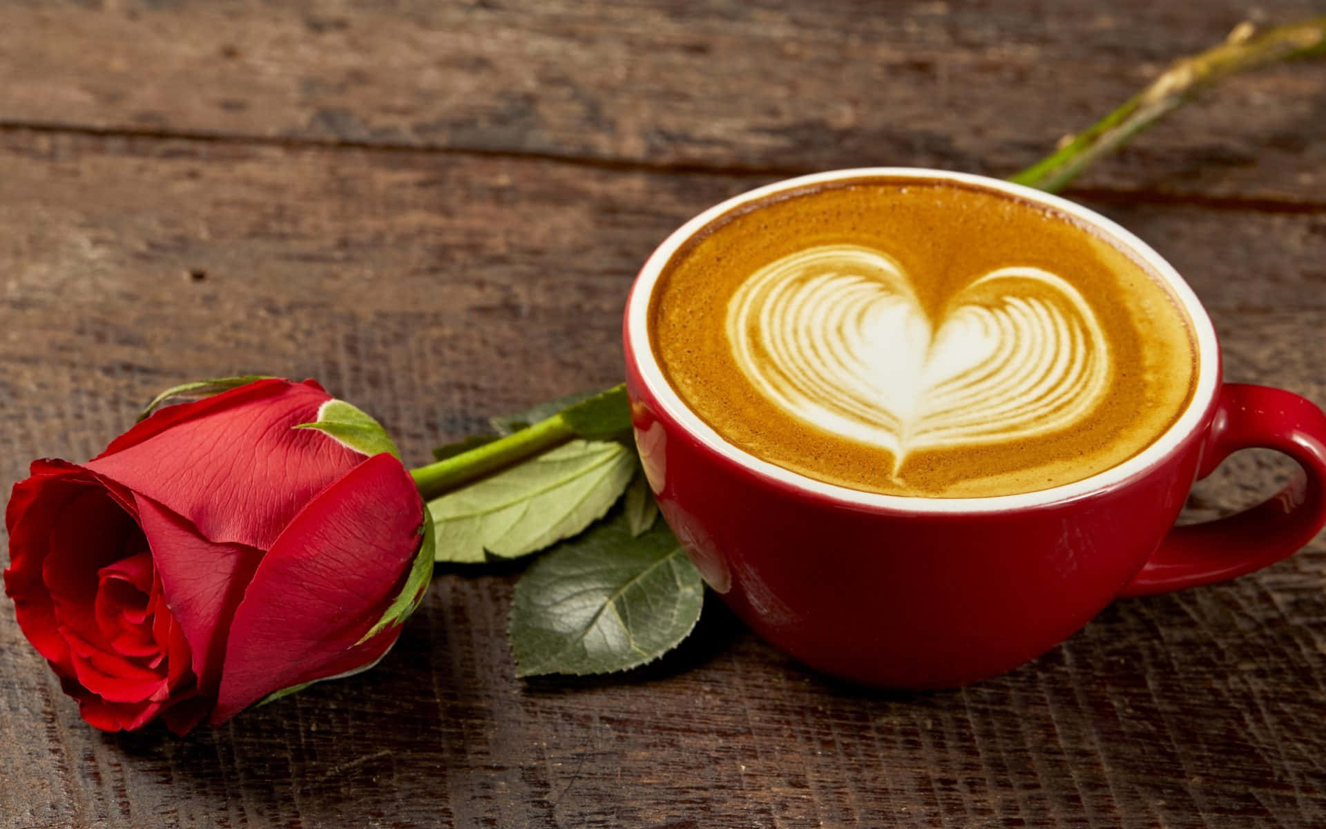 heart latte art, red cup of coffee, single red rose, Full HD Desktop Wallpaper