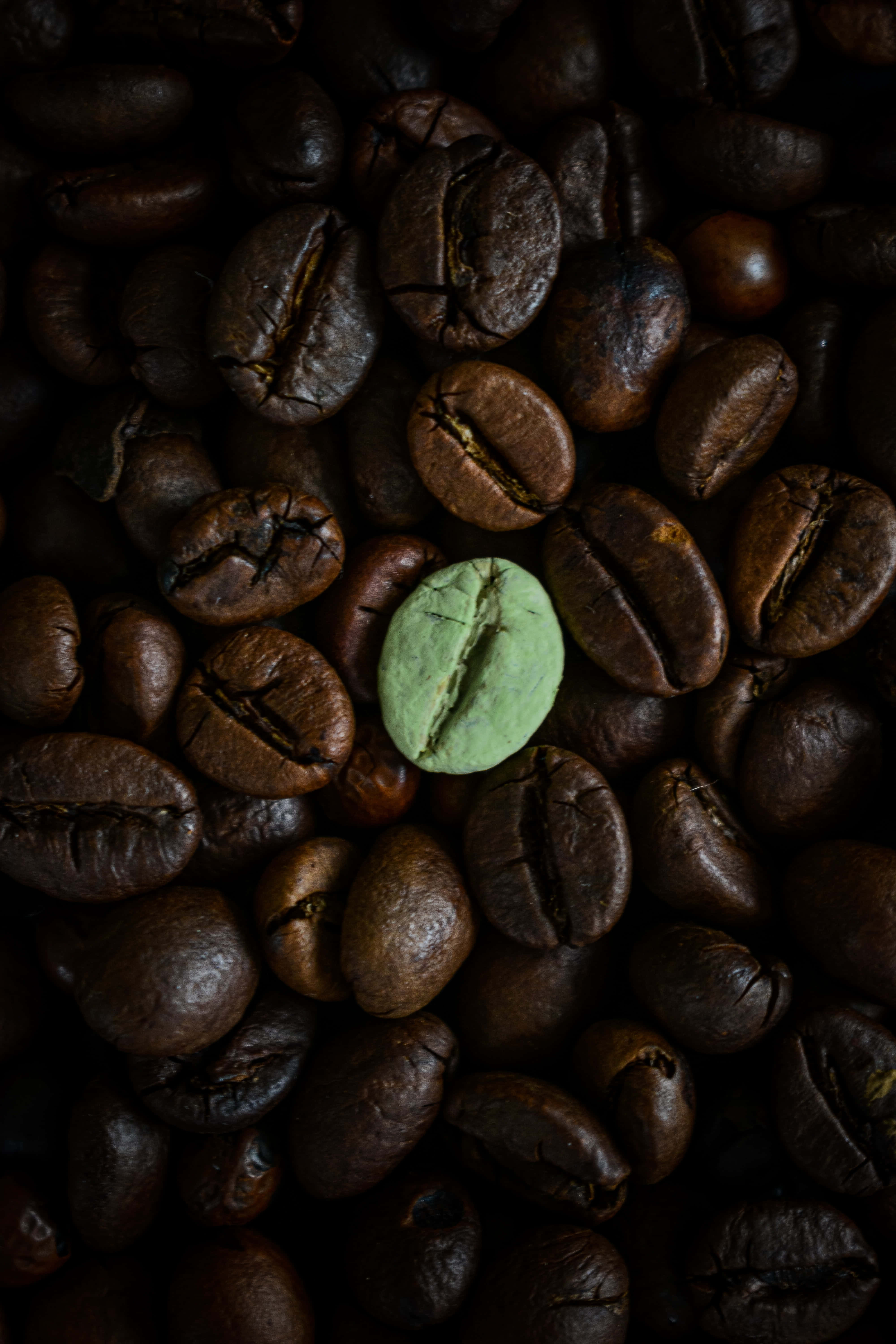 green conspicuous bean, dark roasted beans, close-up shot, 5K Phone Wallpaper