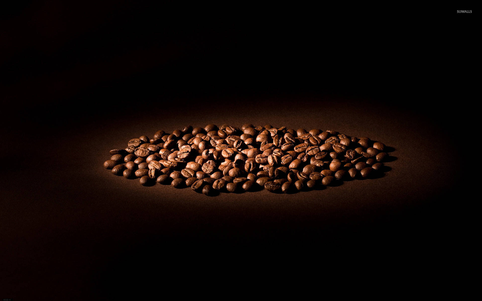 coffee beans, spotlight, deep black background, Full HD Desktop Wallpaper
