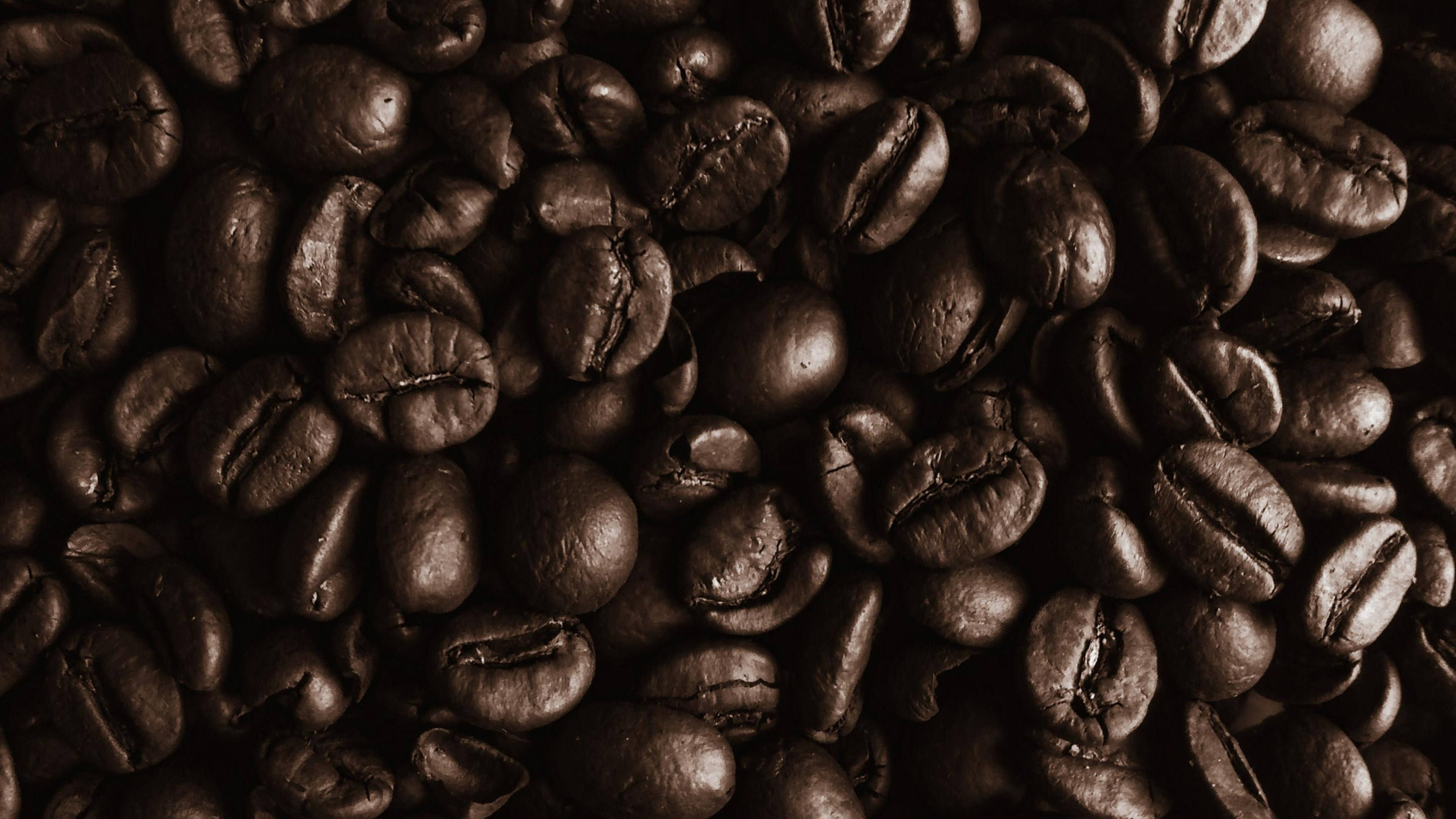 dark roasted coffee beans, glossy texture, deep brown tones, 4K Desktop Wallpaper