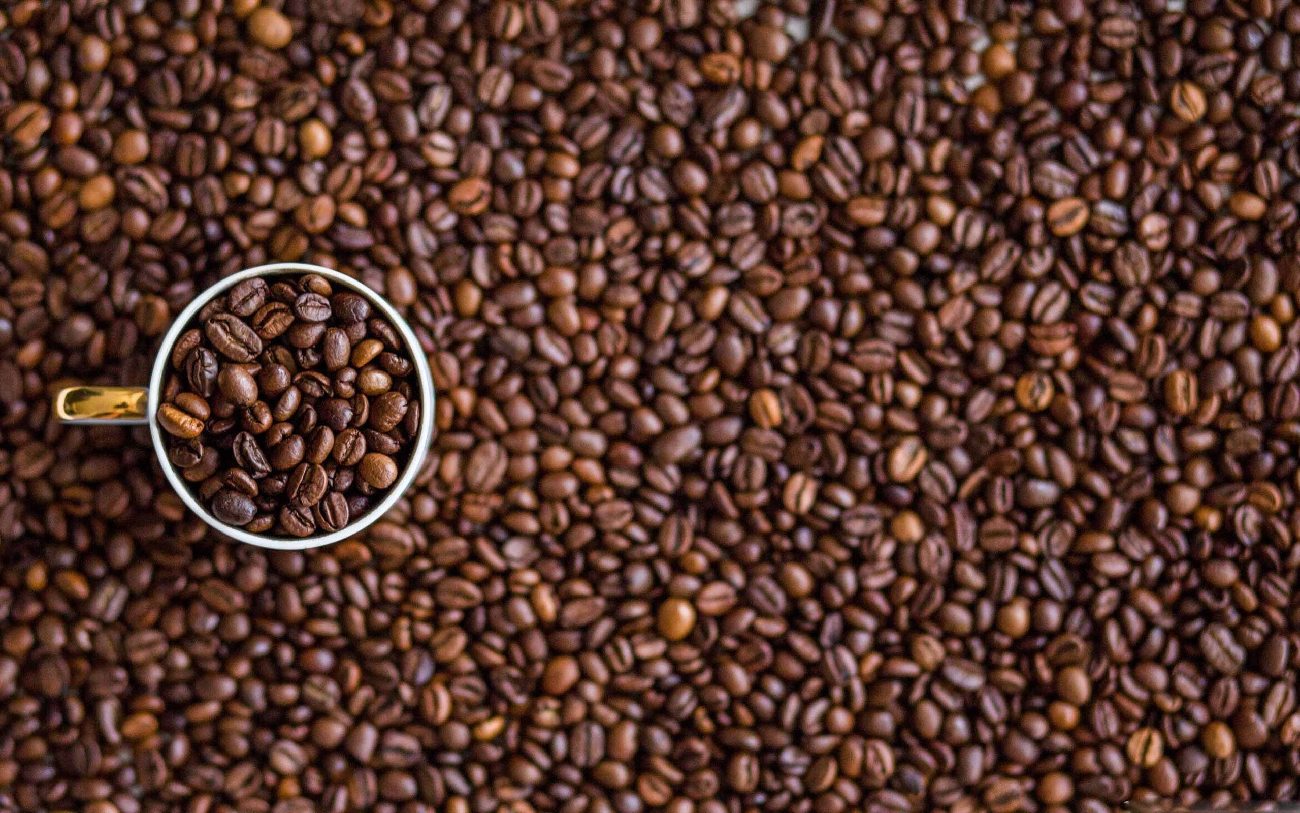 white mug, coffee beans, top-down view, 2K Desktop Wallpaper