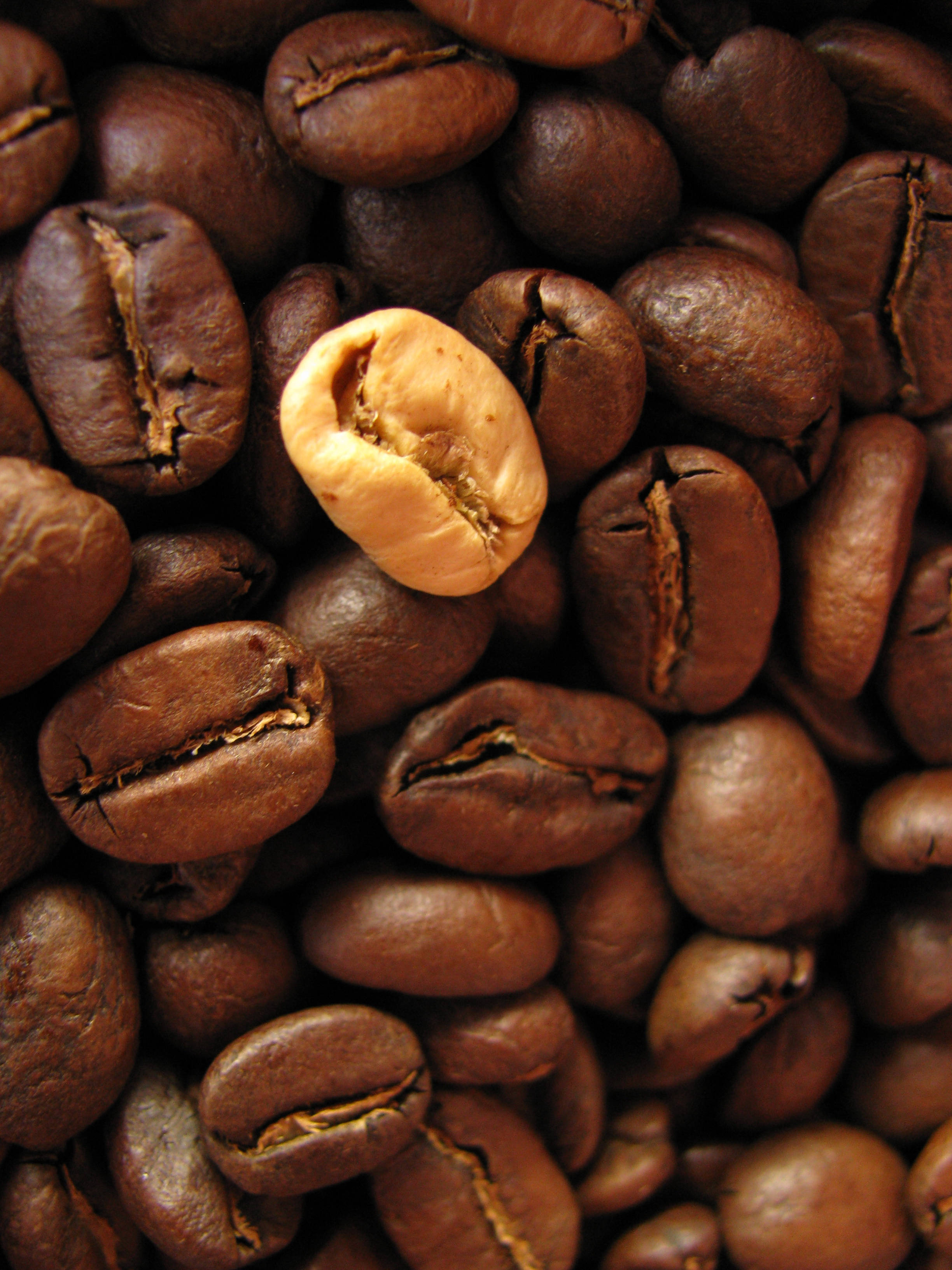 medium roast coffee beans, roasted coffee beans, split open, 2K Phone Wallpaper