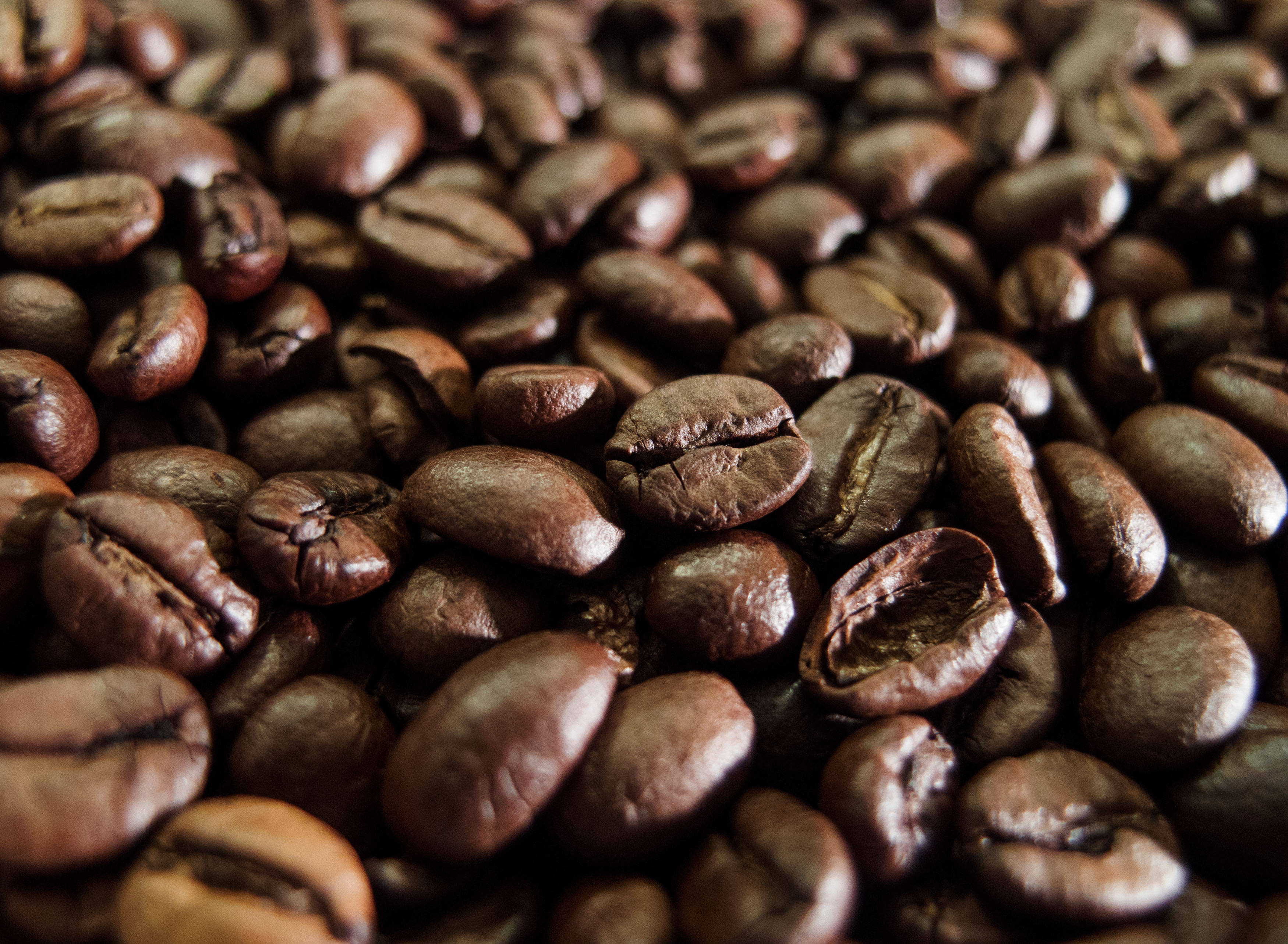 shiny, dark roasted coffee beans, rich brown, 2K Desktop Wallpaper