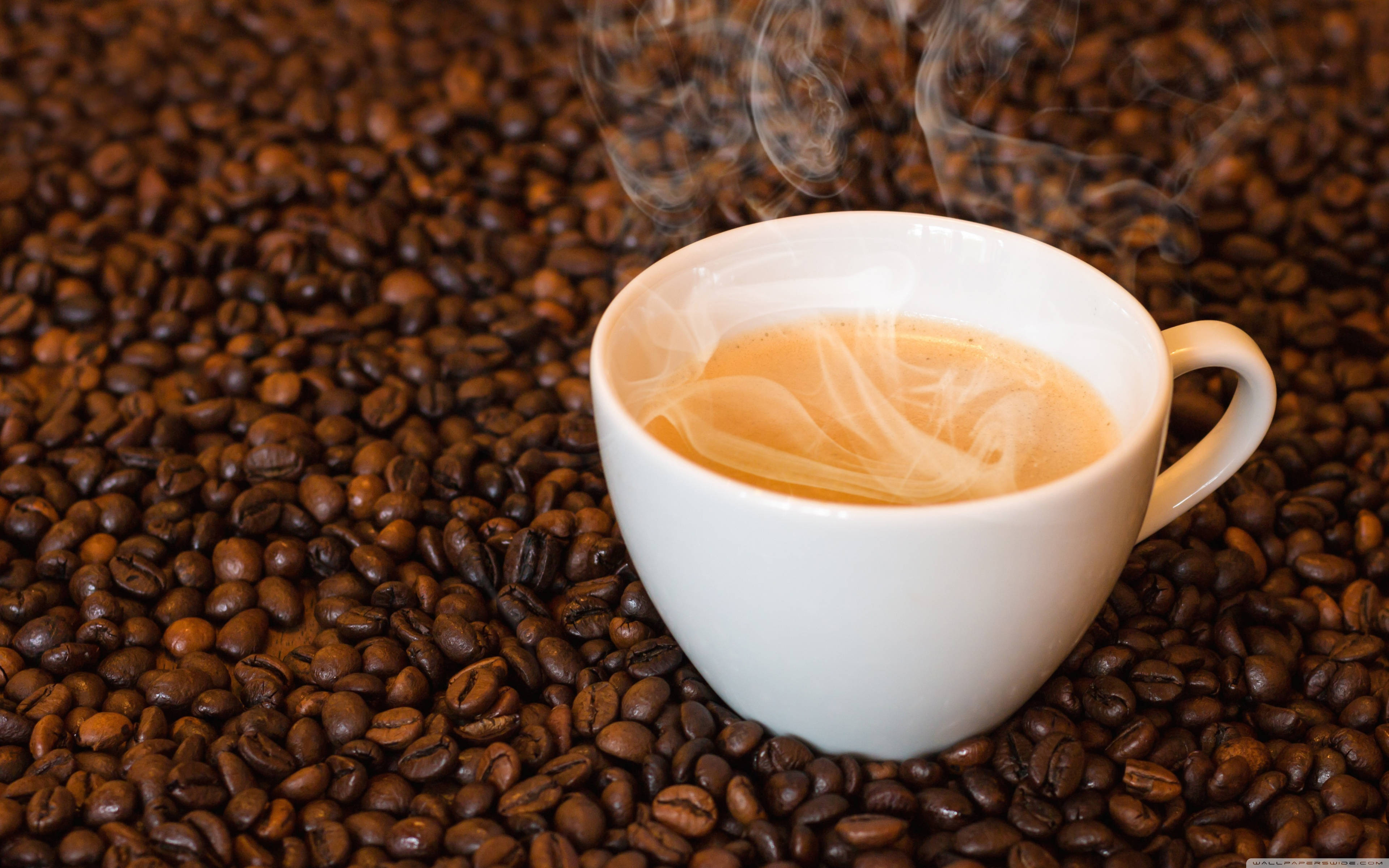 coffee cup, Arabica coffee beans, steaming, 4K Desktop Wallpaper