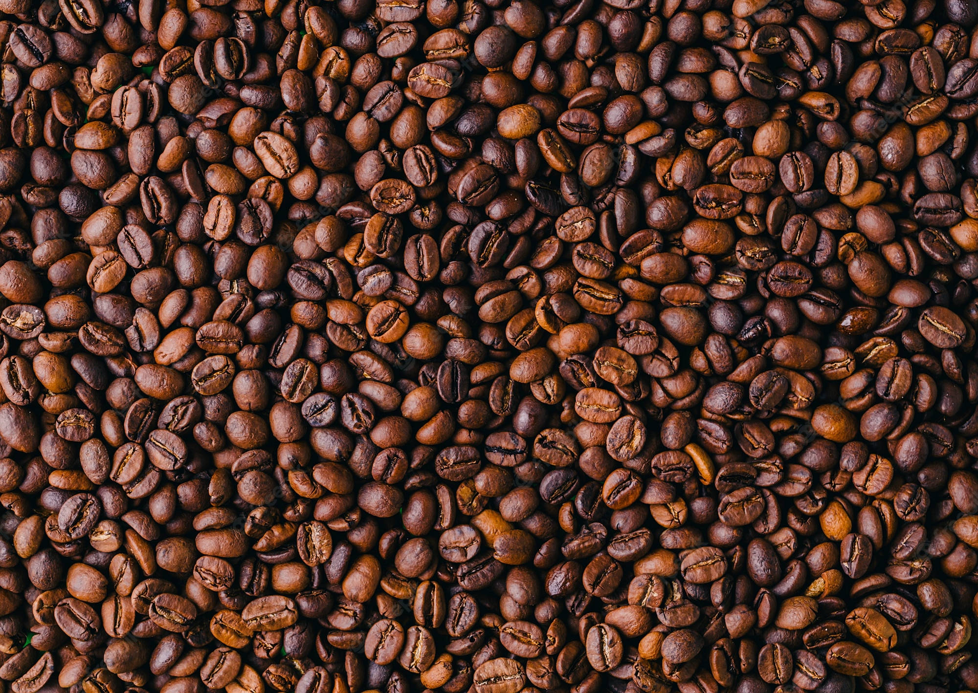 coffee beans, roasted coffee beans, rich brown tones, Full HD Desktop Wallpaper