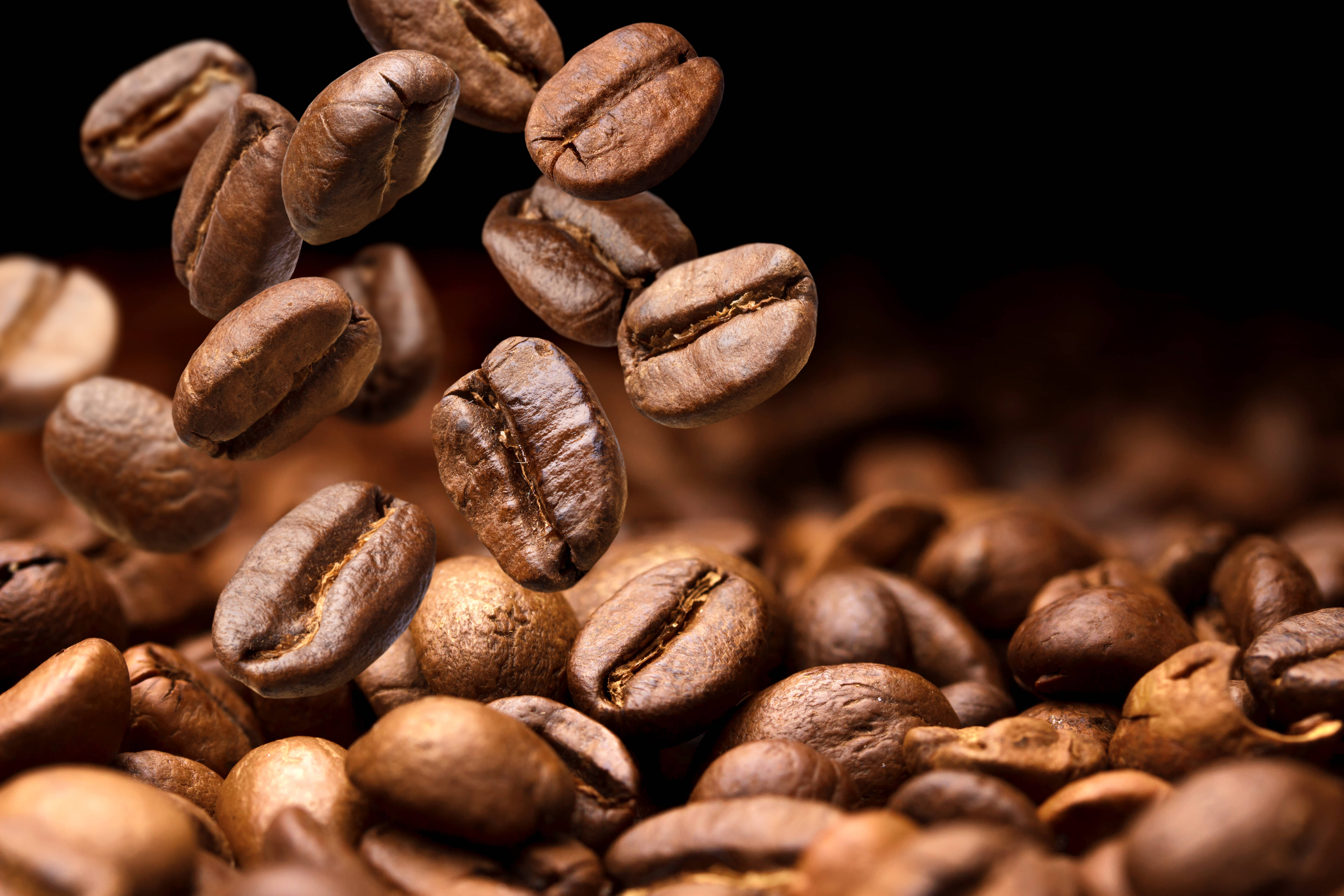 tossed coffee beans, rich brown coffee beans, dark background, 5K Desktop Wallpaper