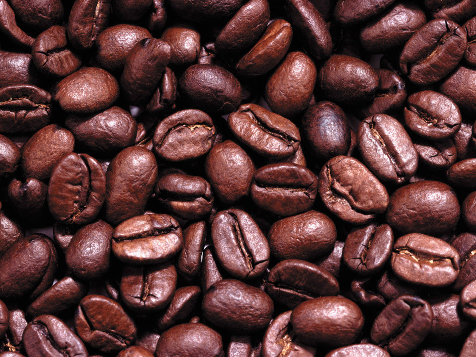 aesthetic coffee beans, rich brown, glossy surfaces, HD Desktop Wallpaper
