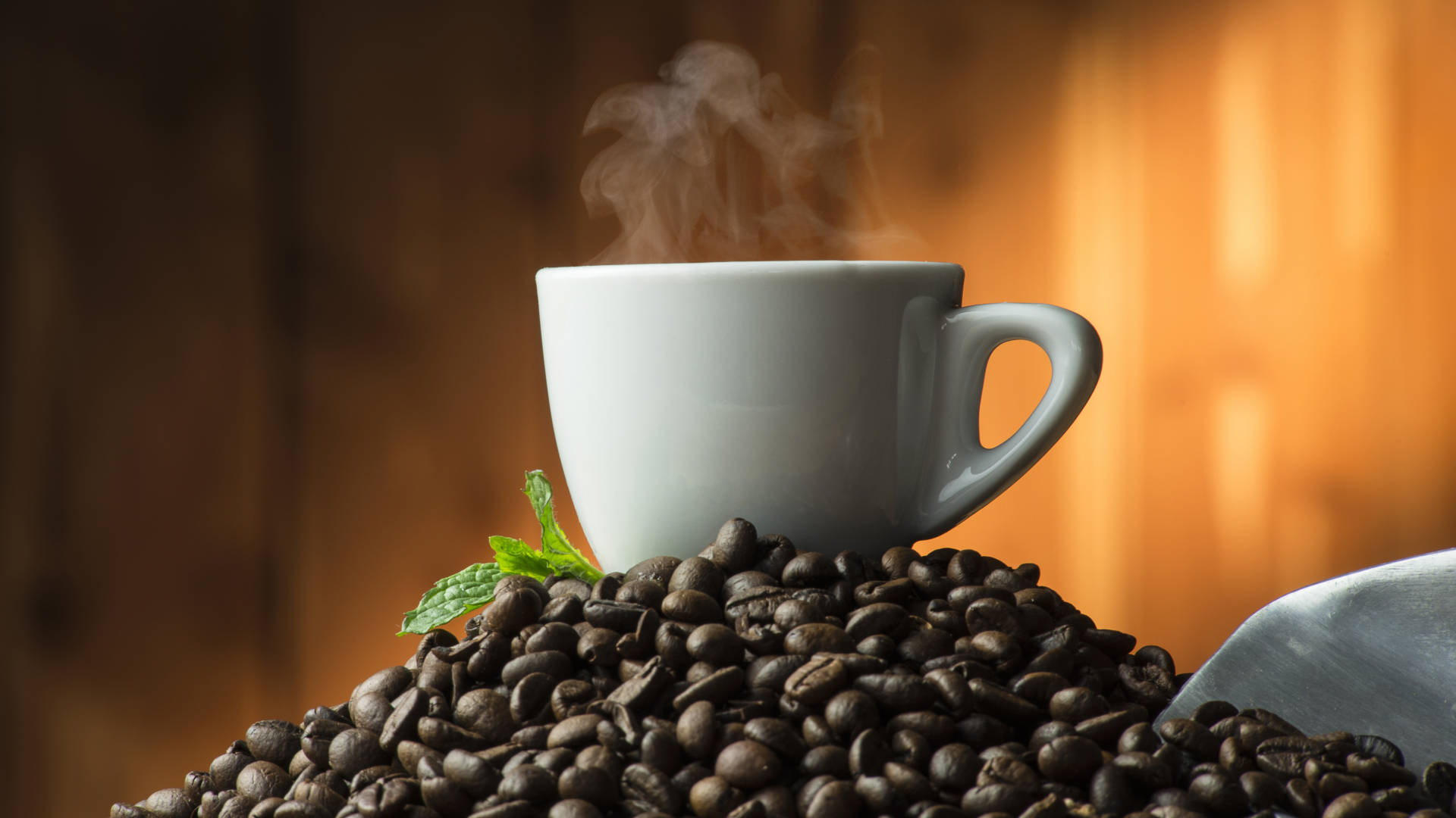 coffee cup, harvested coffee beans, dark roasted beans, Full HD Desktop Wallpaper