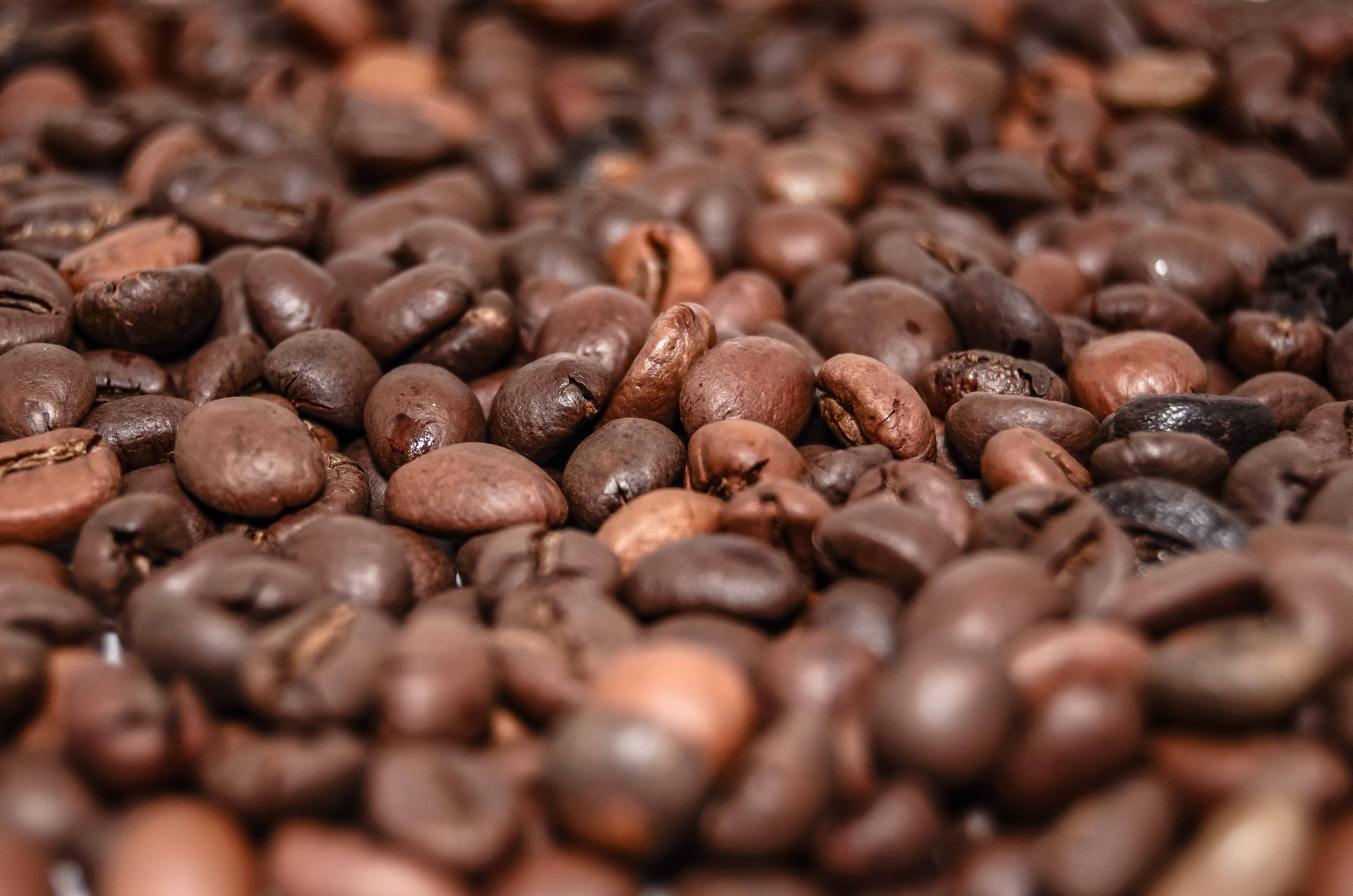 dark roast coffee beans, rich brown tones, glossy textures, 4K Desktop Wallpaper