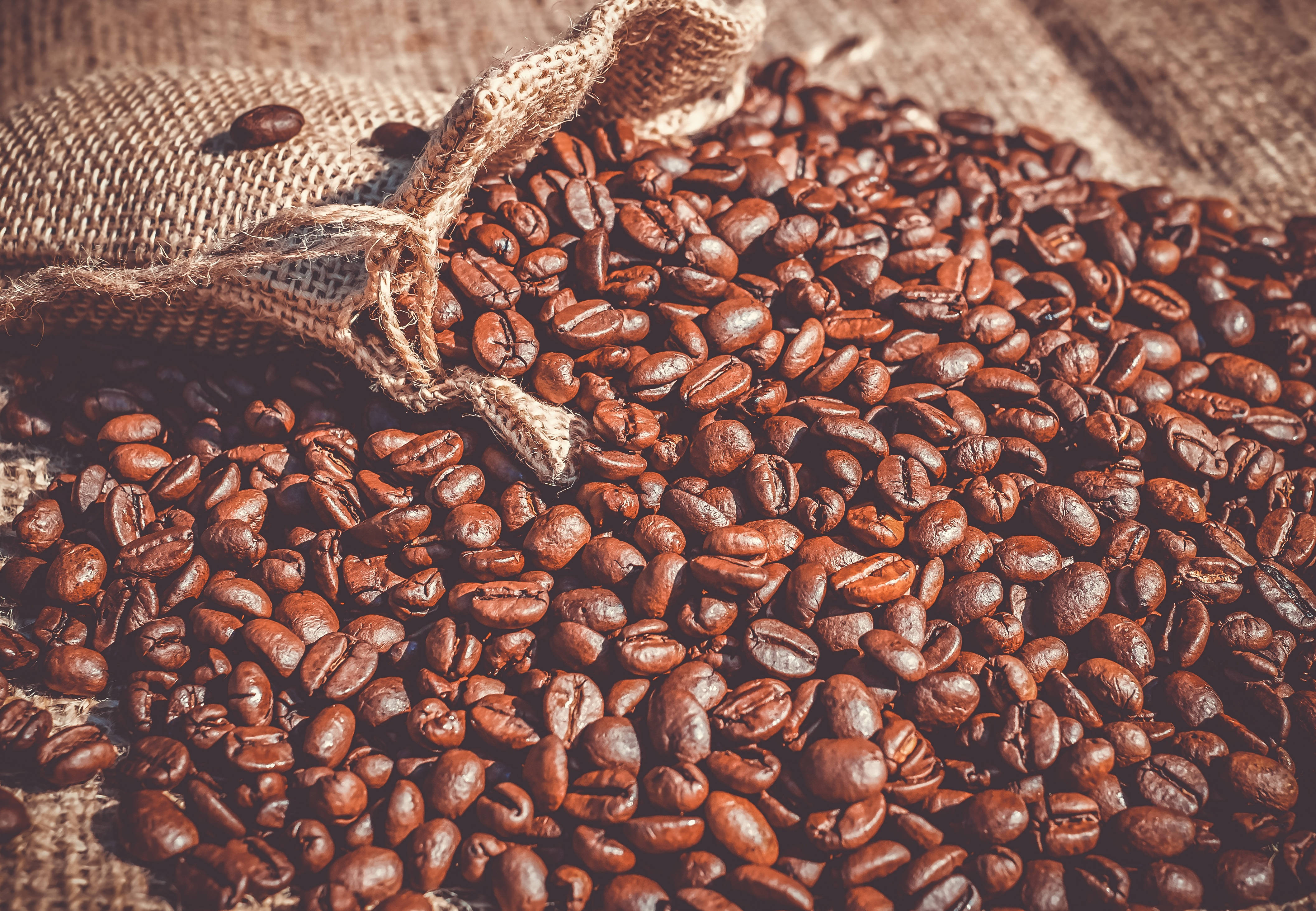 Coffee Beans Sunlight, coarse burlap sack, textured surface, 4K Desktop Wallpaper