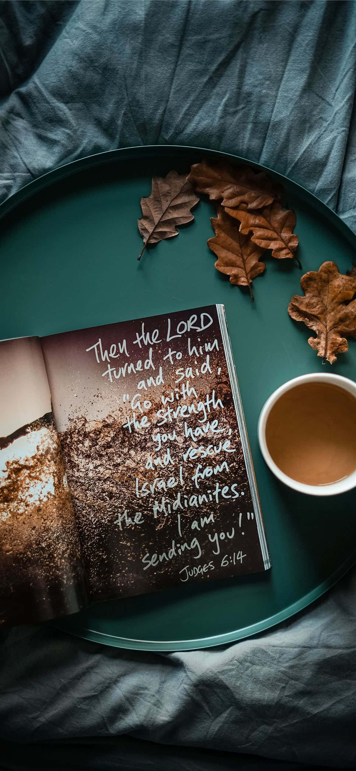 teal tray, open Bible, scripture verse, Full HD Phone Wallpaper