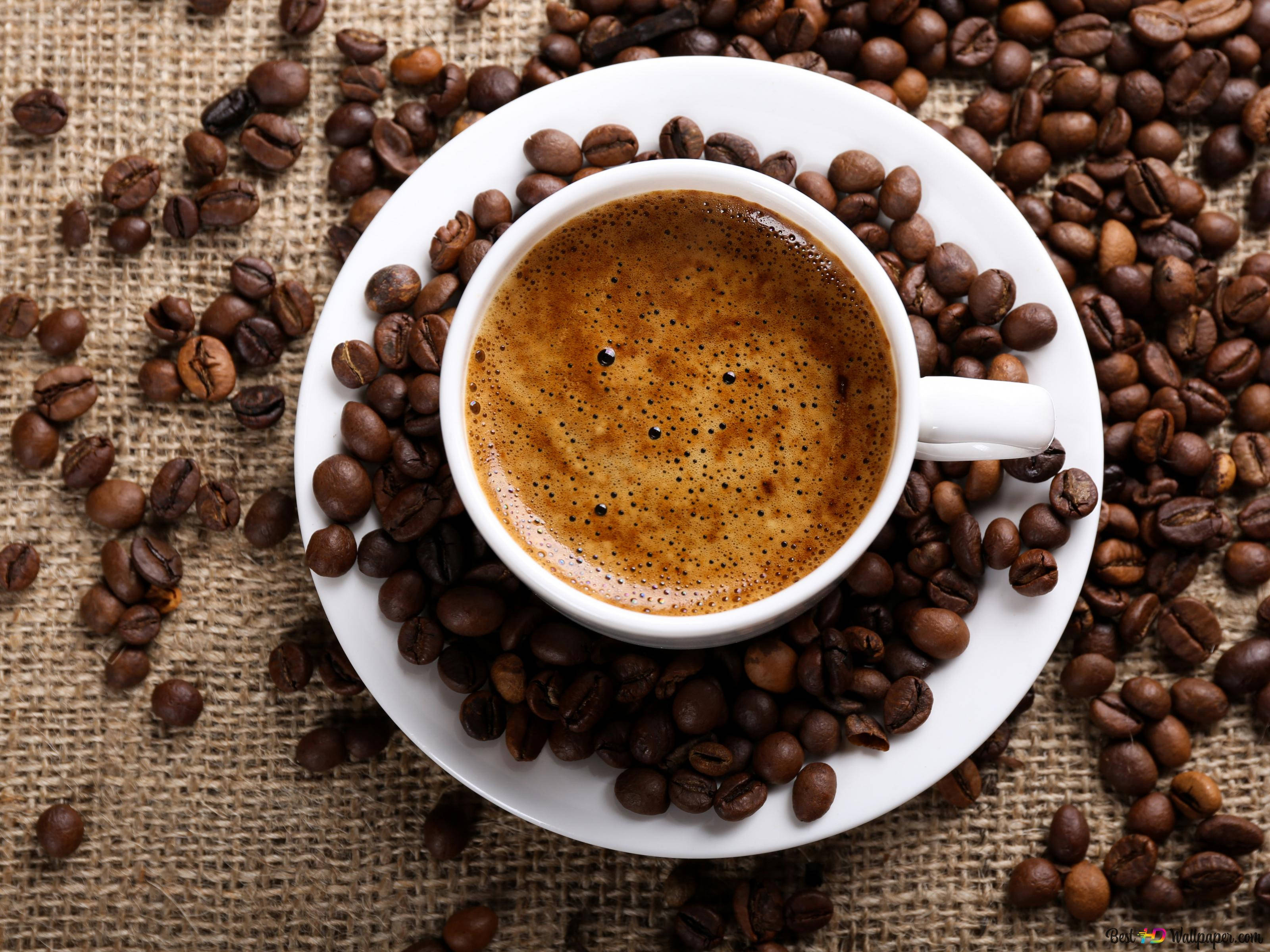 espresso, coffee beans, rustic burlap surface, 2K Desktop Wallpaper
