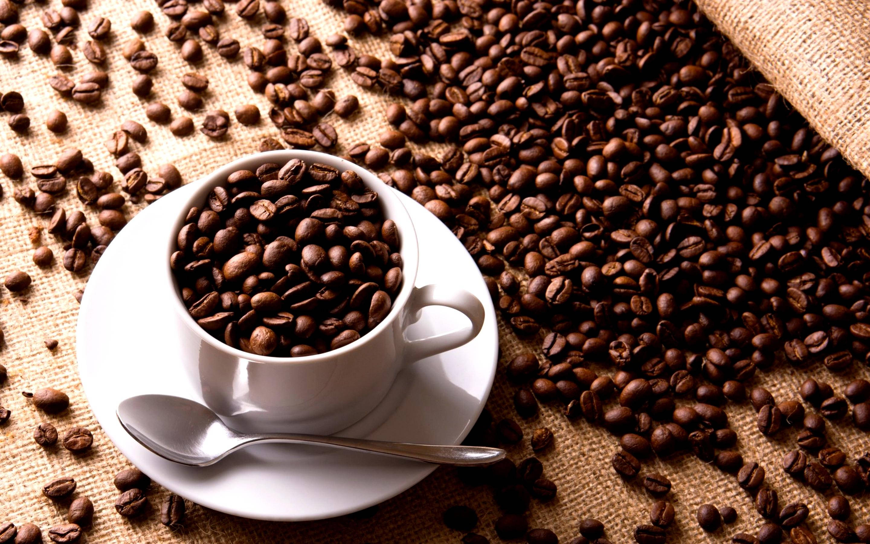 white cup, roasted coffee beans, saucer, 2K Desktop Wallpaper