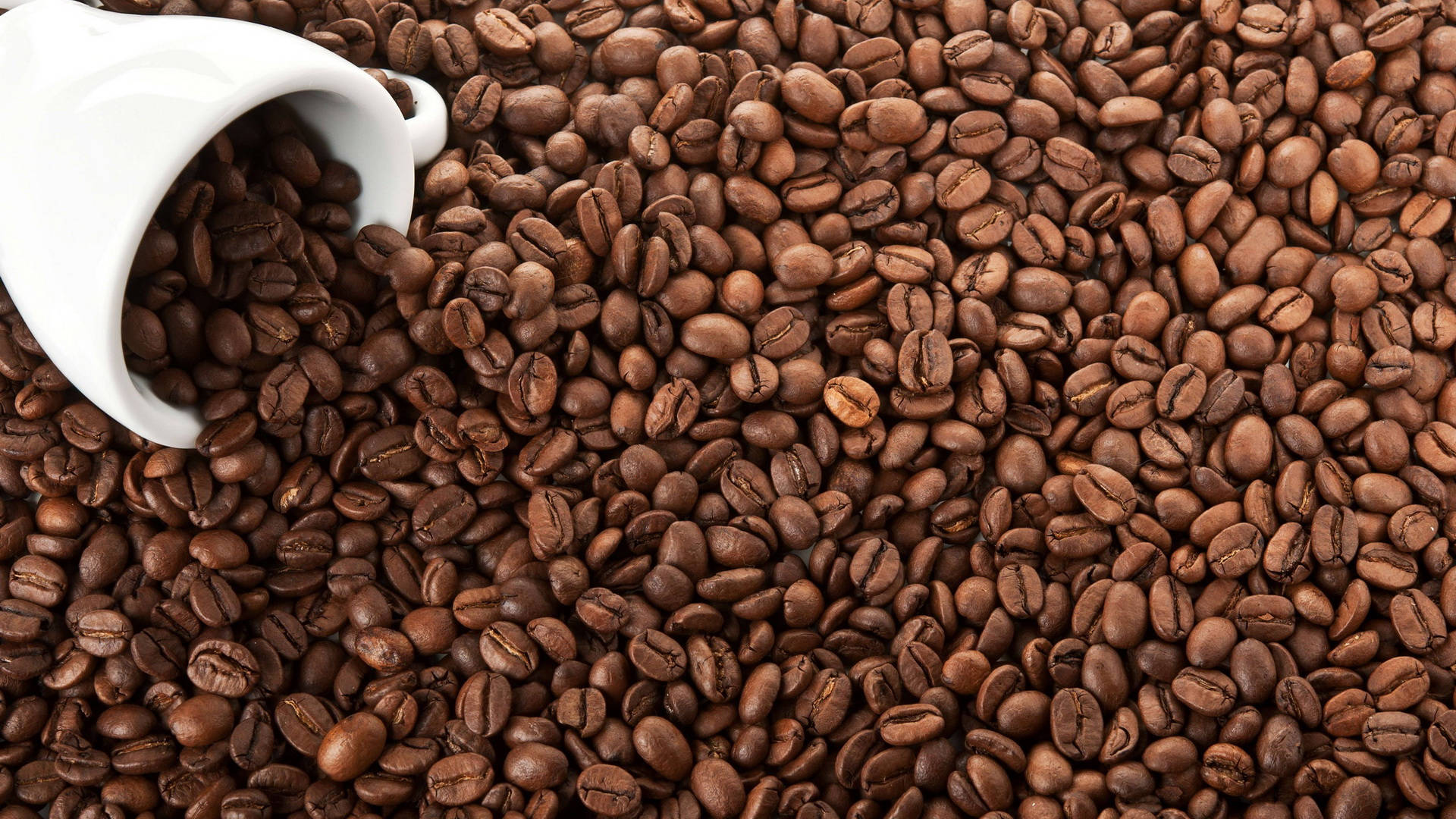 white ceramic mug, roasted coffee beans, textured surface, Full HD Desktop Wallpaper