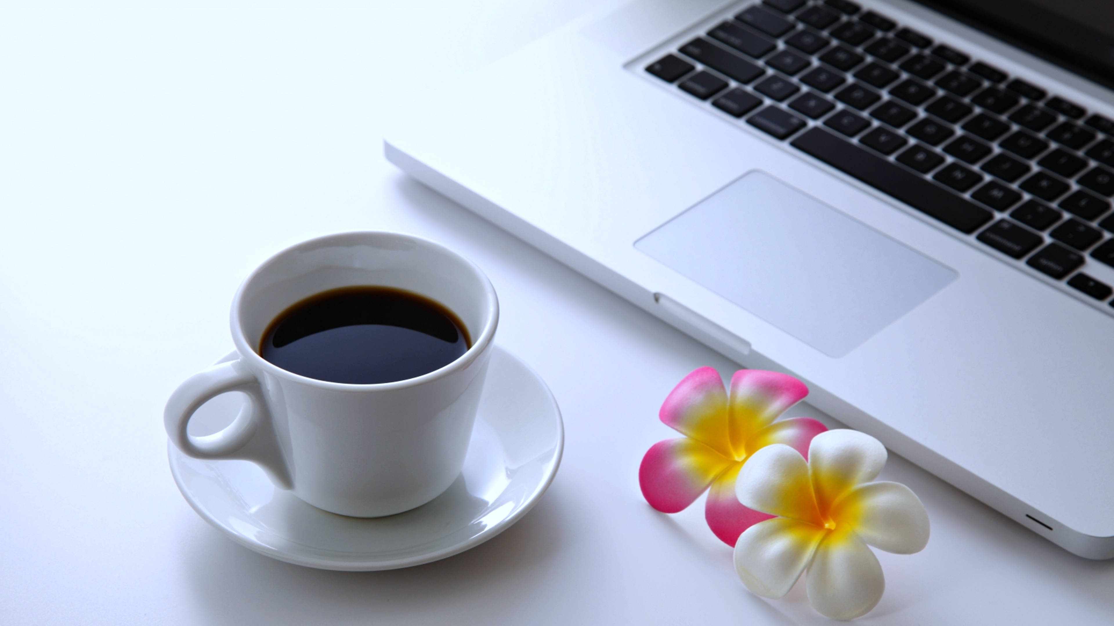black coffee laptop, frangipani flowers, white coffee cup, 4K Desktop Wallpaper