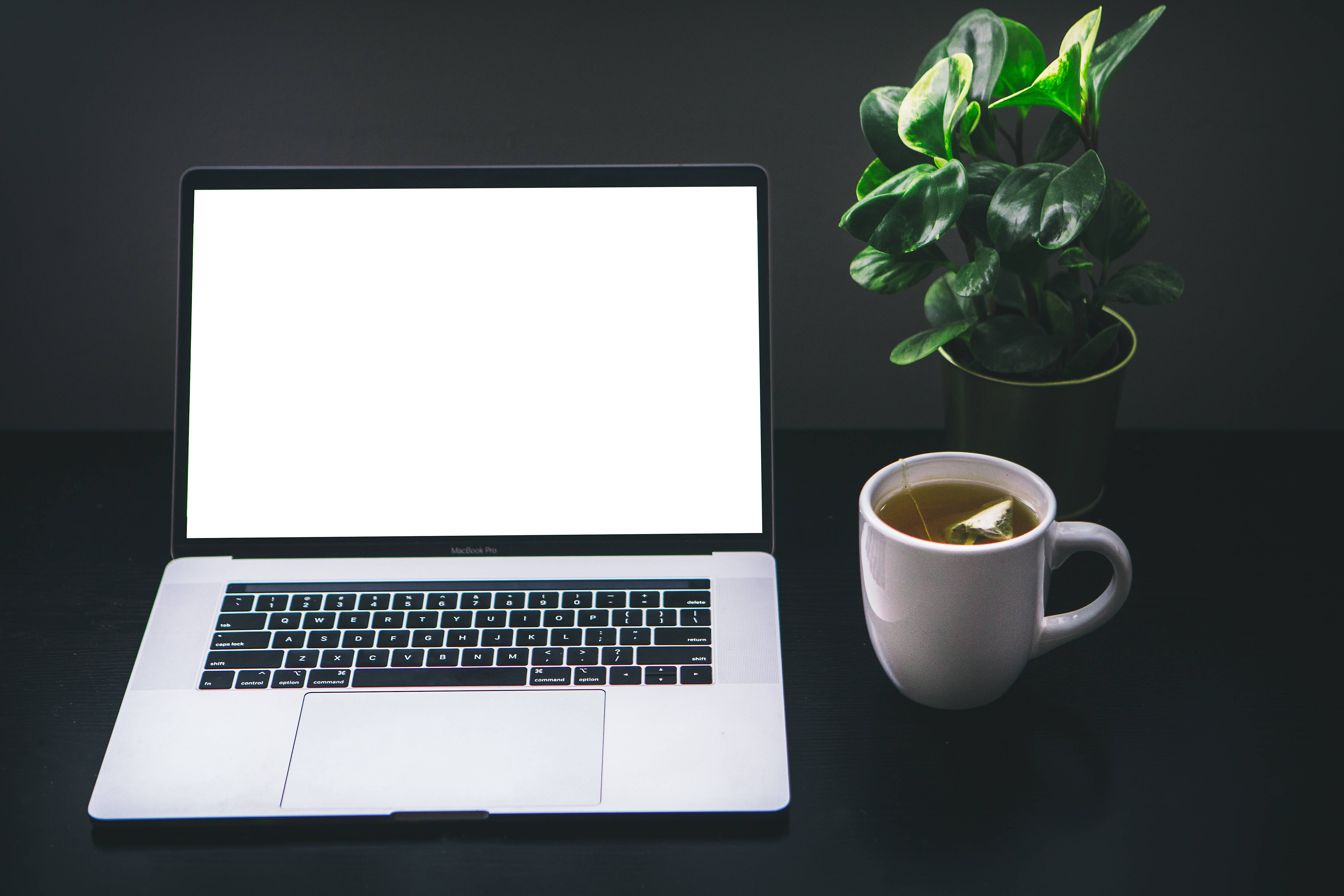 lo fi coffee laptop, sleek silver laptop, blank white screen, 5K Desktop Wallpaper