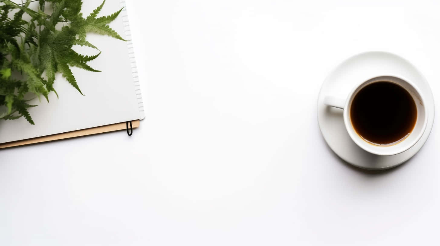 minimalist workspace, white surface, fern leaf notebook, HD Desktop Wallpaper