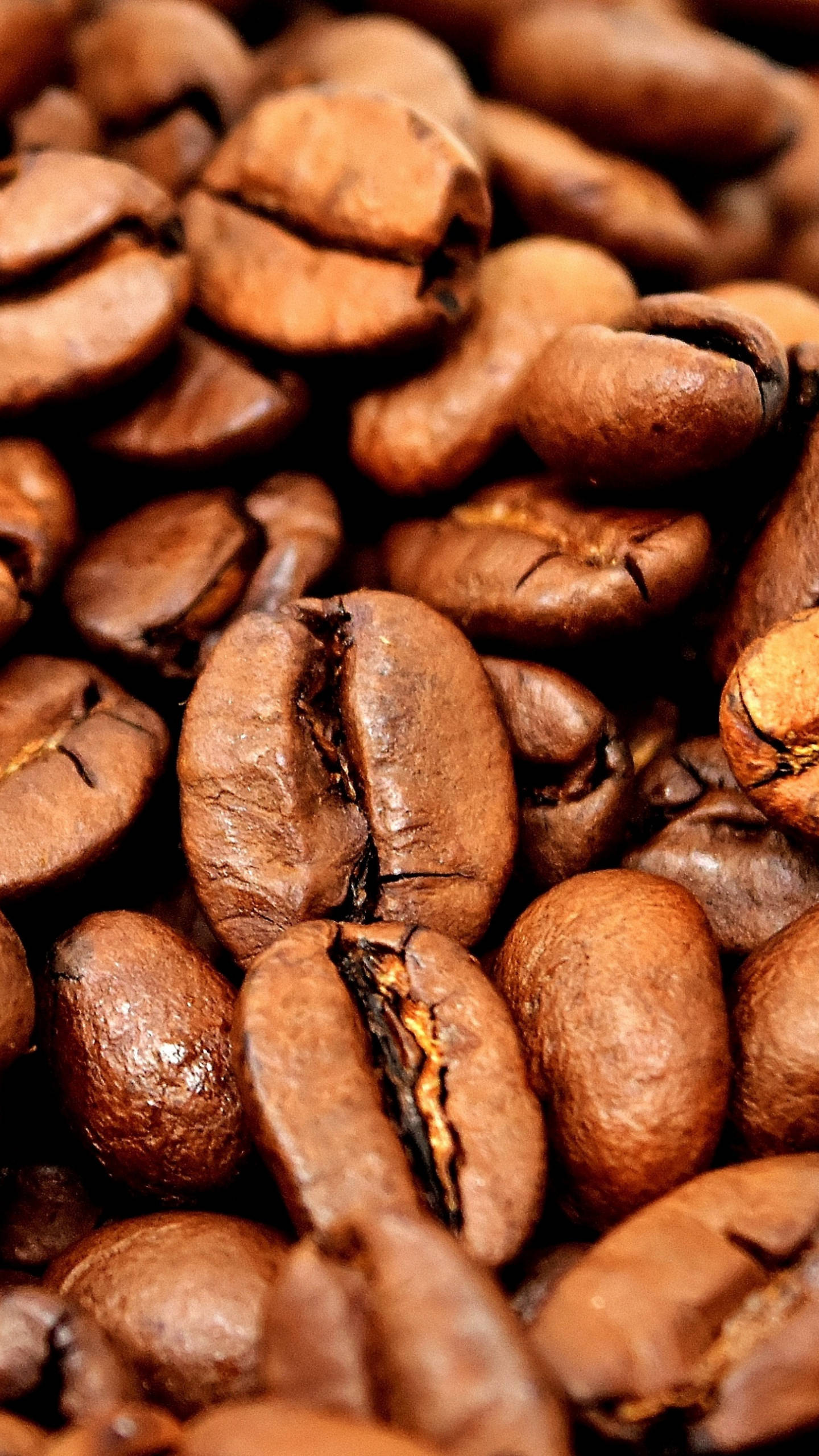 brown coffee beans, roasted coffee beans, rich brown tones, 2K Phone Wallpaper