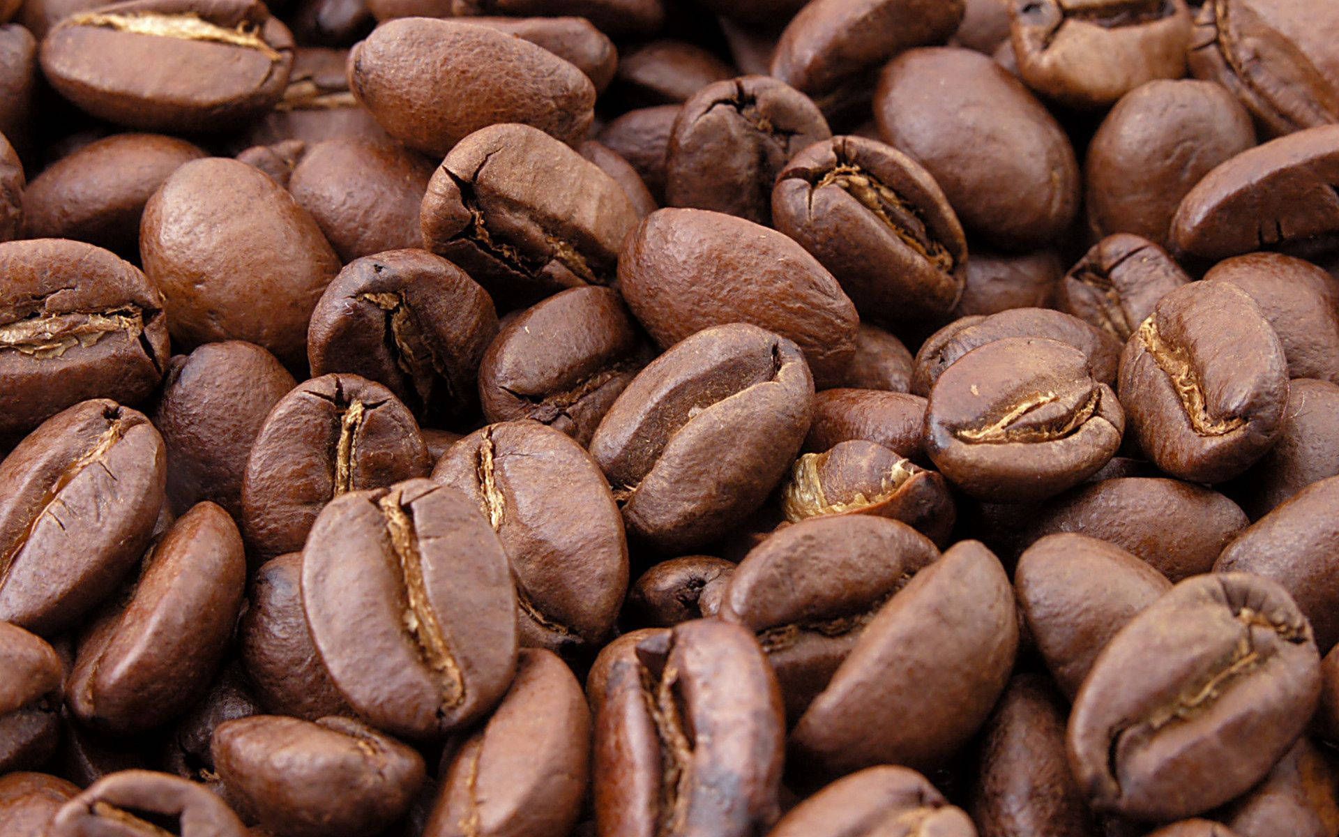 coffee beans, roasted coffee beans, rich brown hues, Full HD Desktop Wallpaper
