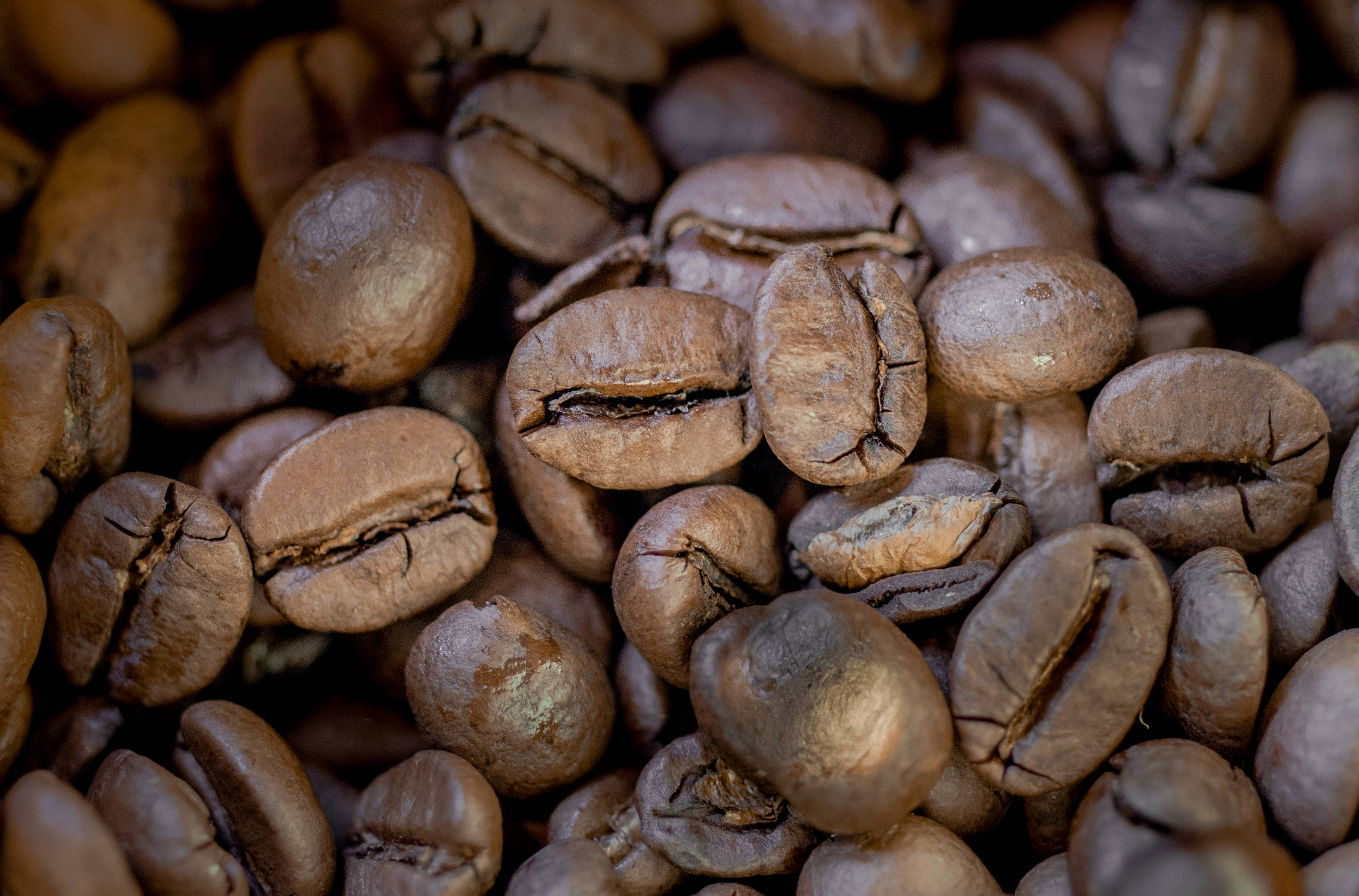 coffee beans, roasted coffee beans, rich brown tones, 2K Desktop Wallpaper