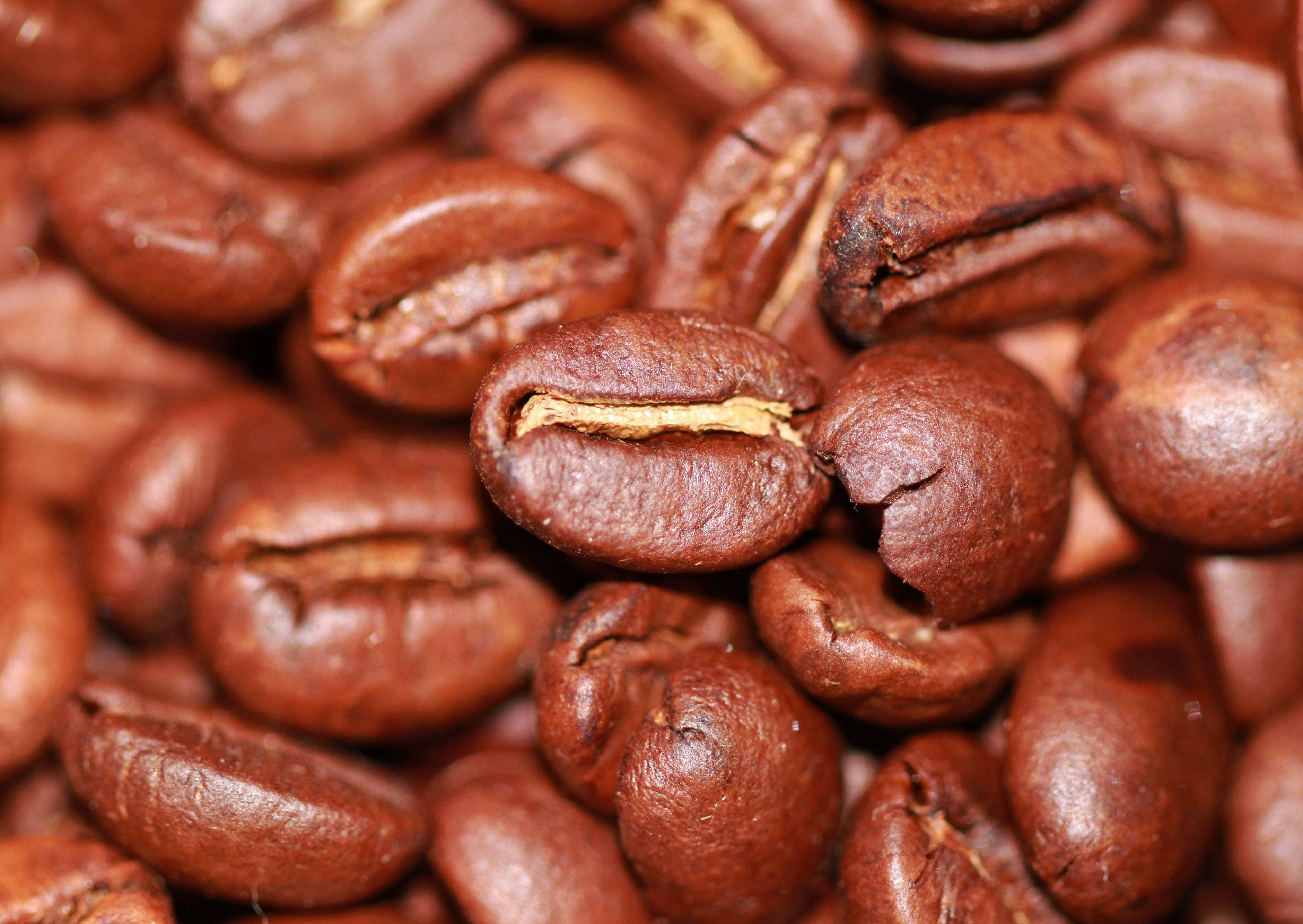 coffee beans, rich brown, roasted, 2K Desktop Wallpaper