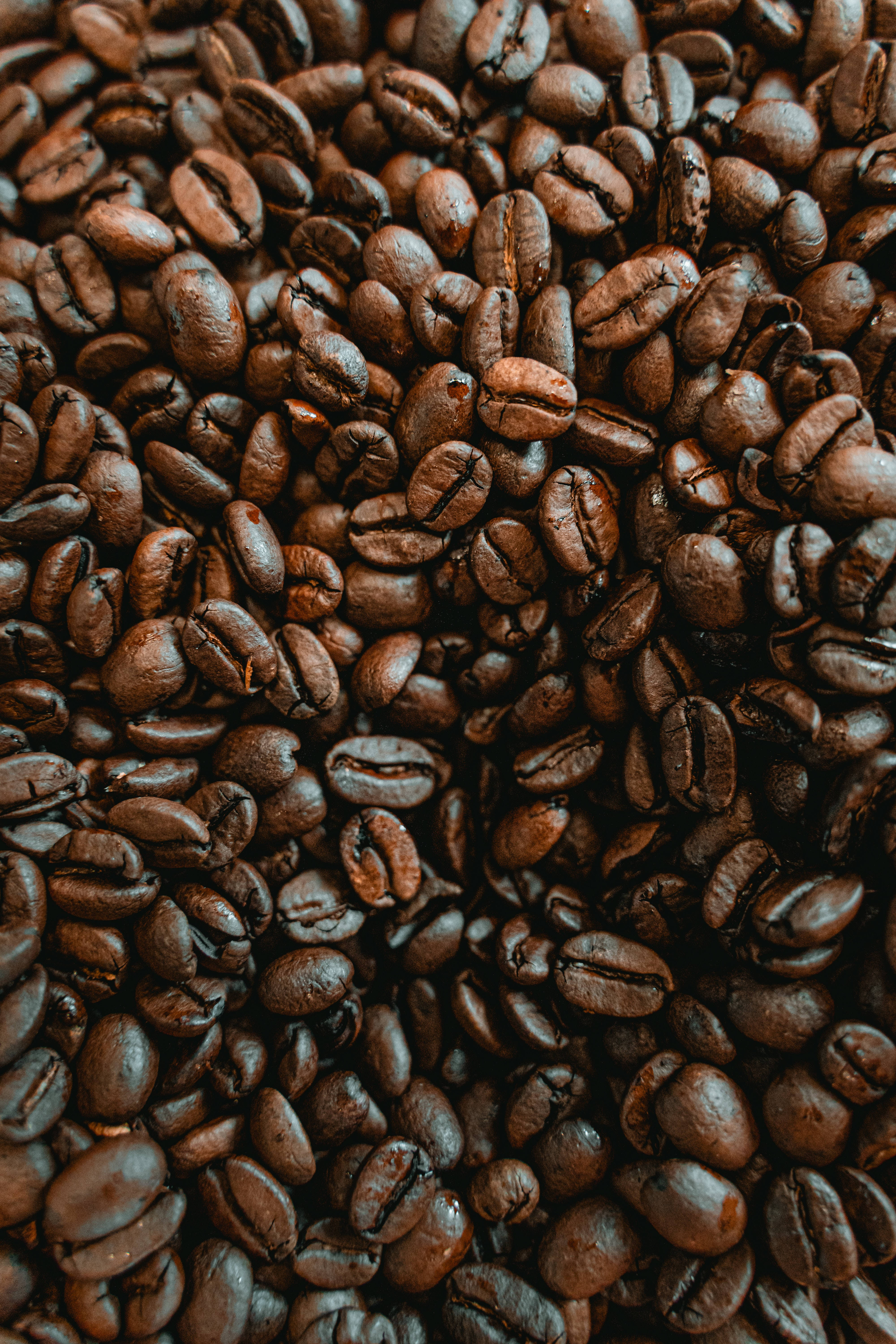 coffee beans, glossy textures, deep brown hues, 5K Phone Wallpaper