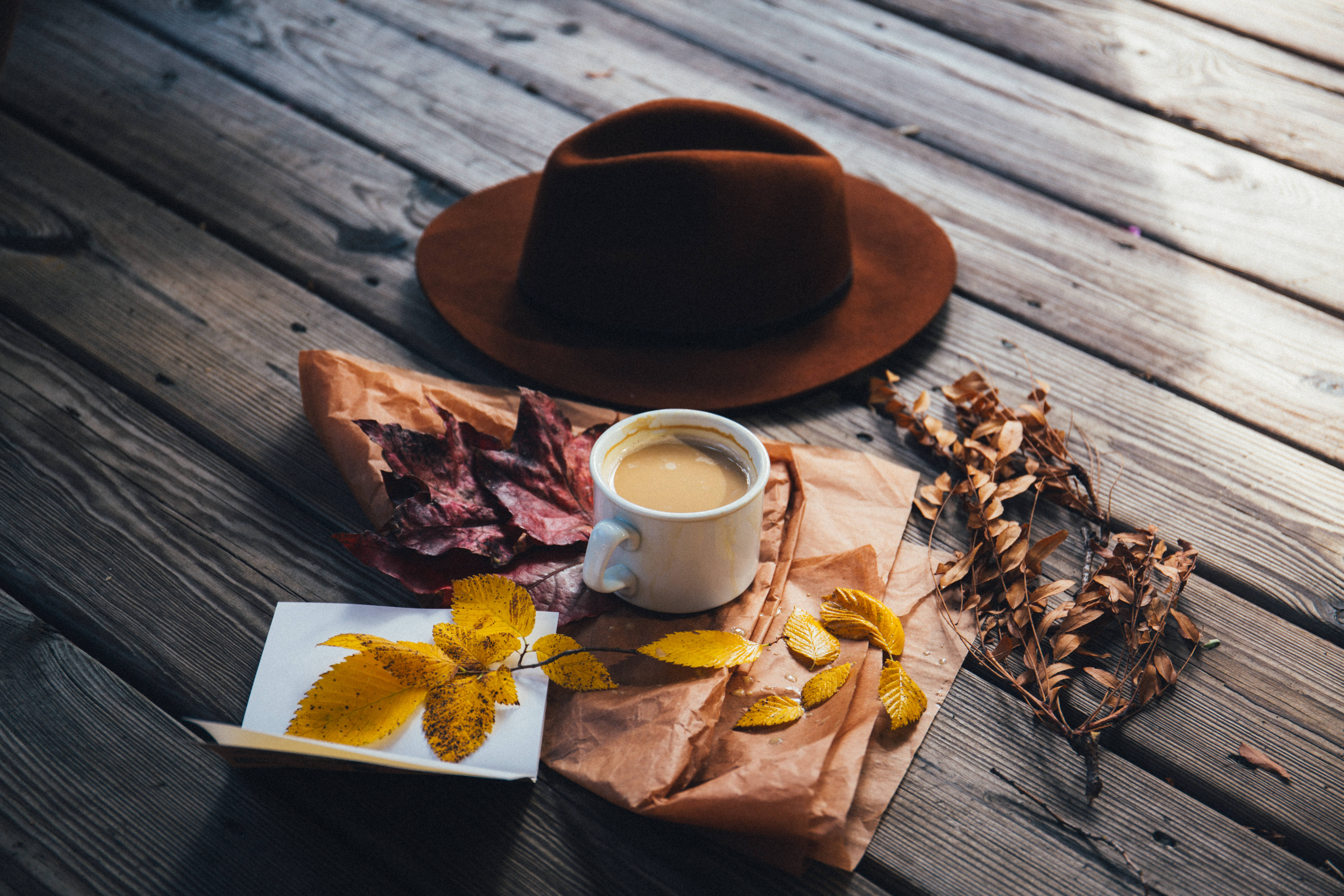 coffee cup, brown hat, autumn leaves, 5K Desktop Wallpaper