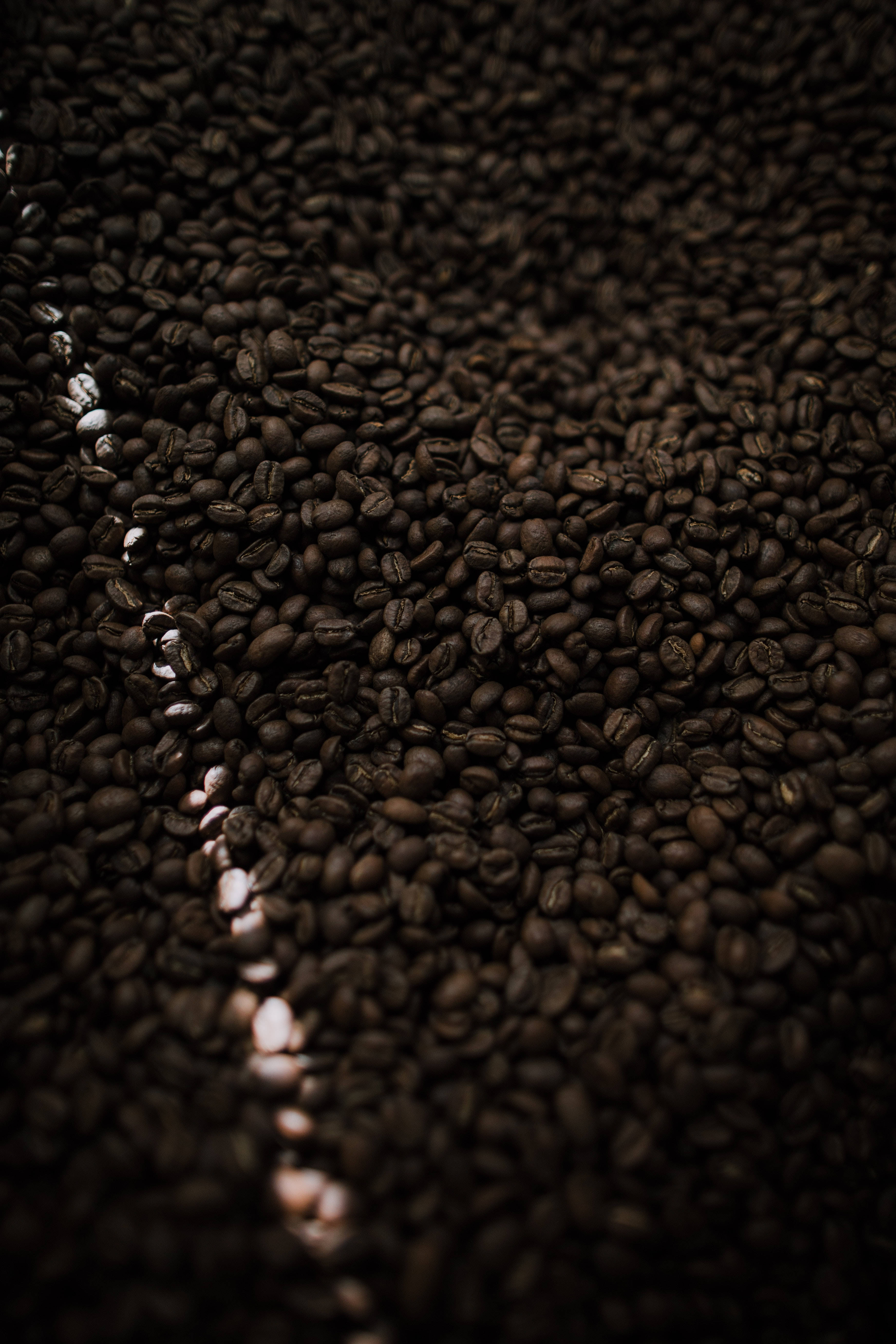 coffee beans, dark roasted coffee beans, lighter beans, 5K Phone Wallpaper