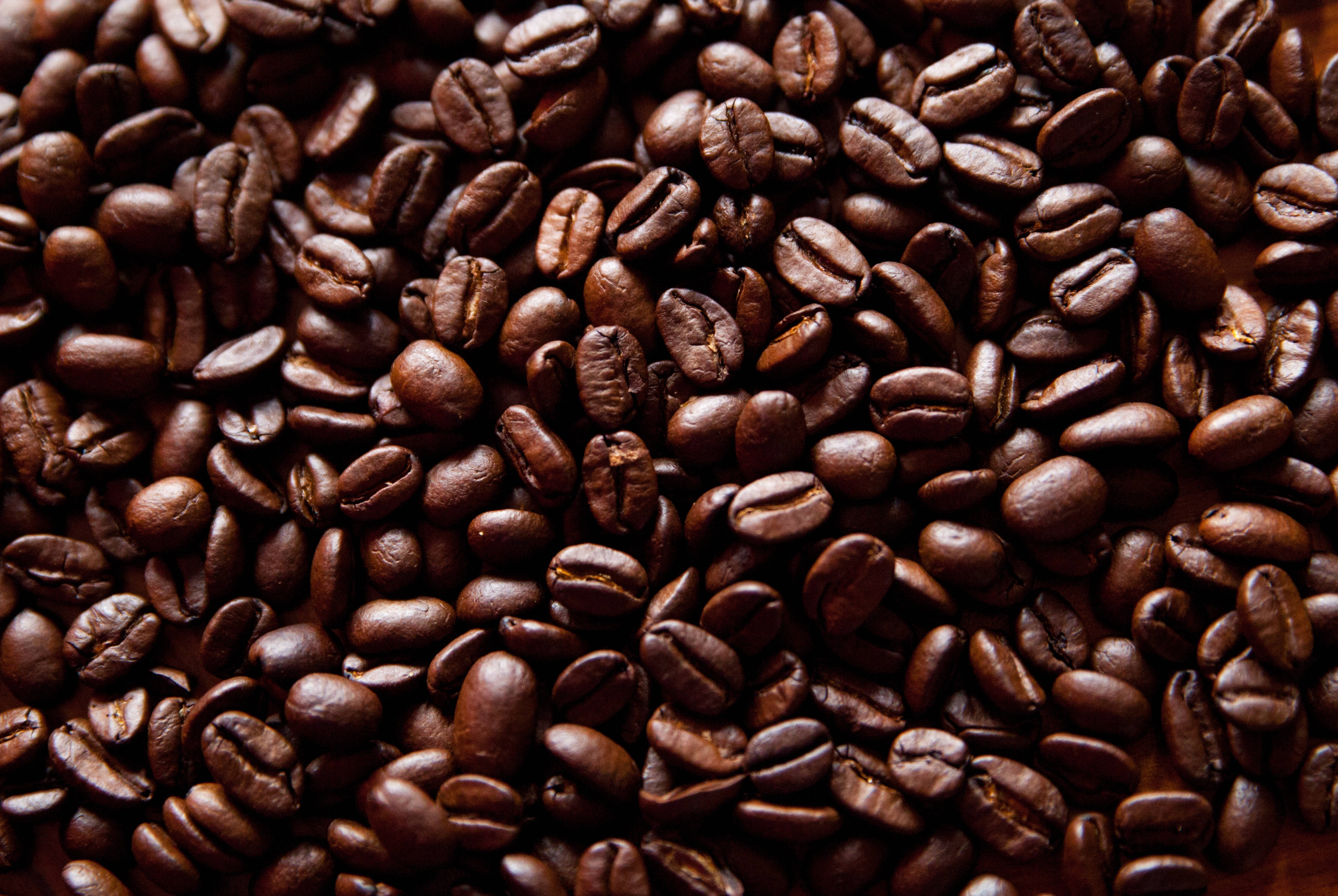 glowing coffee beans, rich dark brown, glossy textures, 4K Desktop Wallpaper