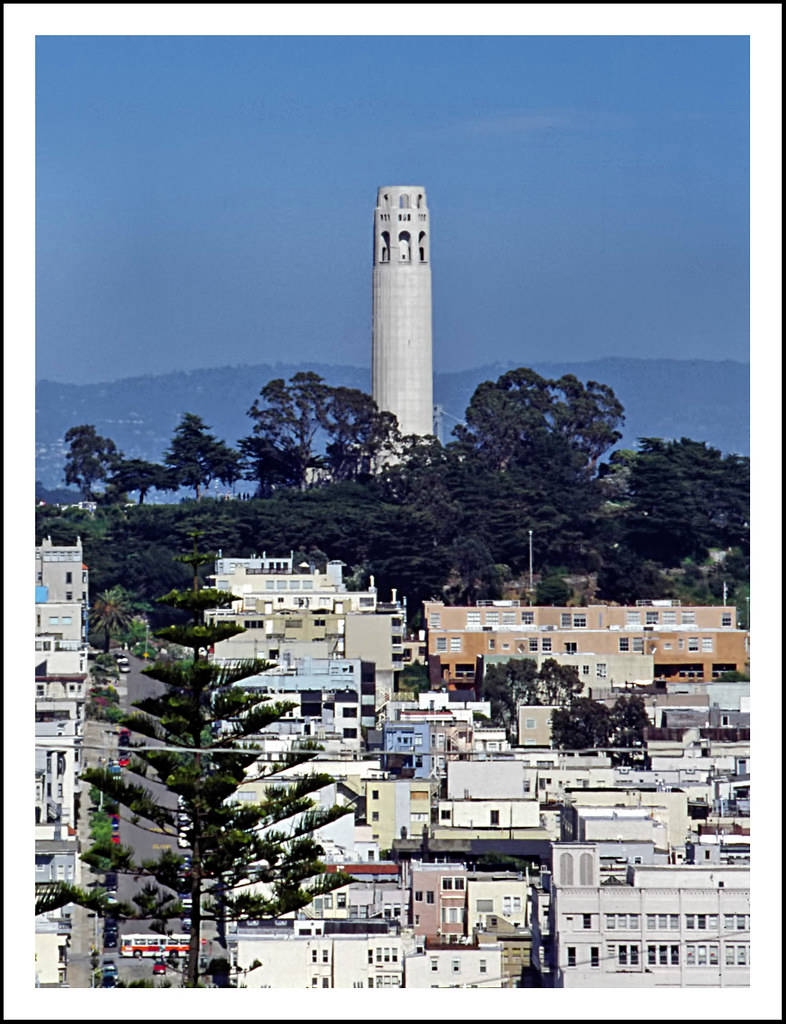 Coit Tower, urban canyon, colorful buildings, SD Phone Wallpaper