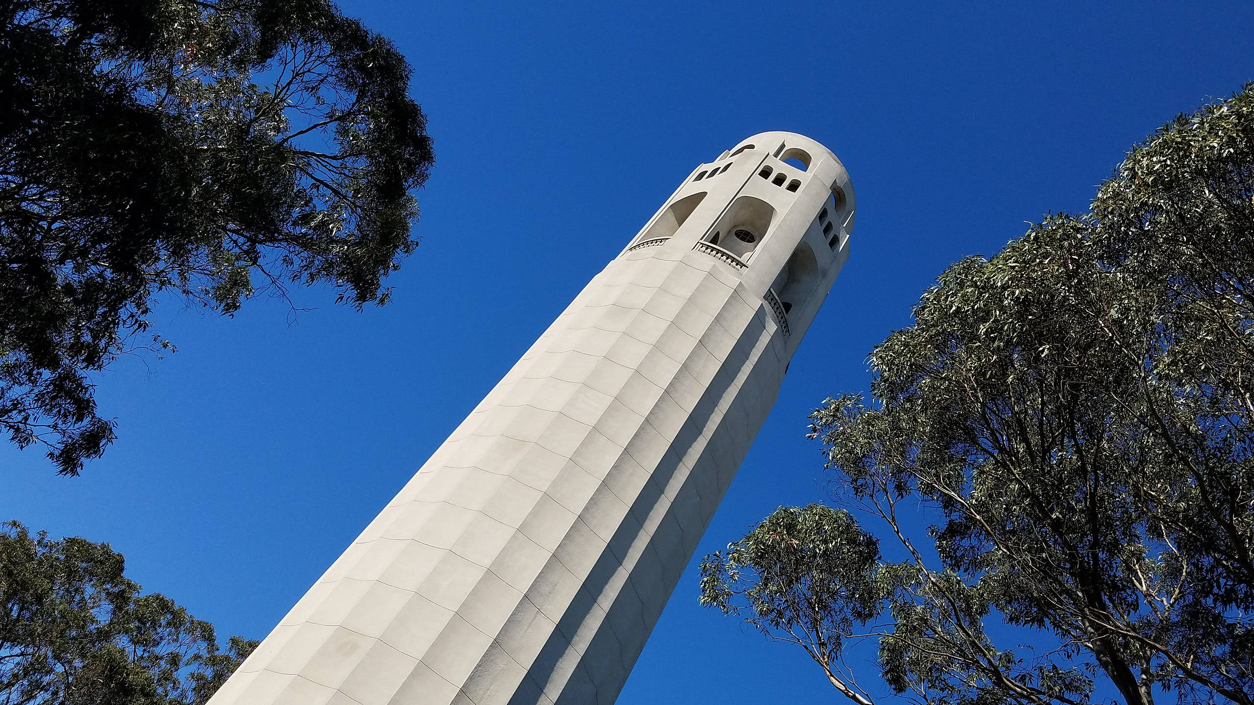 Coit Tower, worms eye view, clear blue sky, 2K Desktop Wallpaper