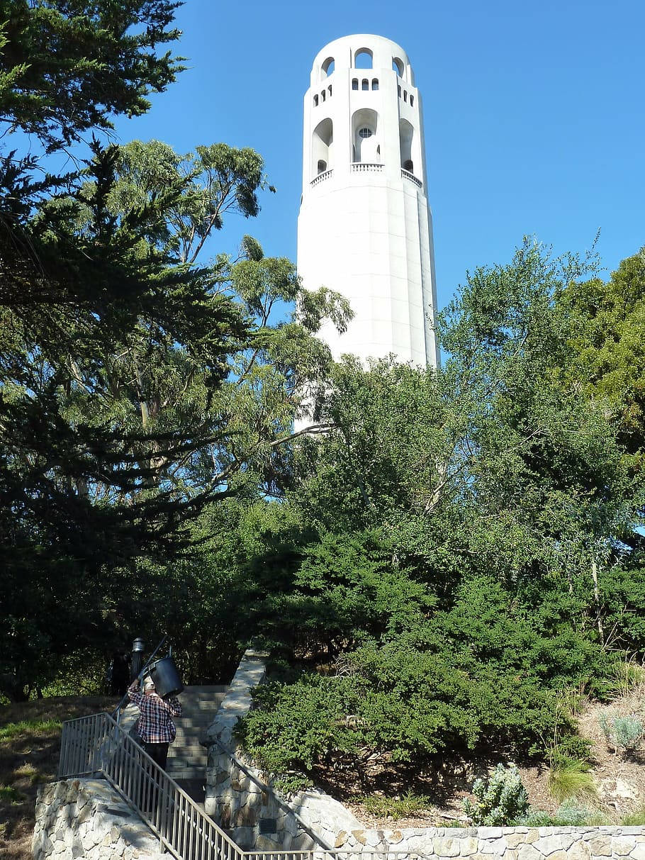 Coit Tower, stone stairs, lush green trees, SD Phone Wallpaper