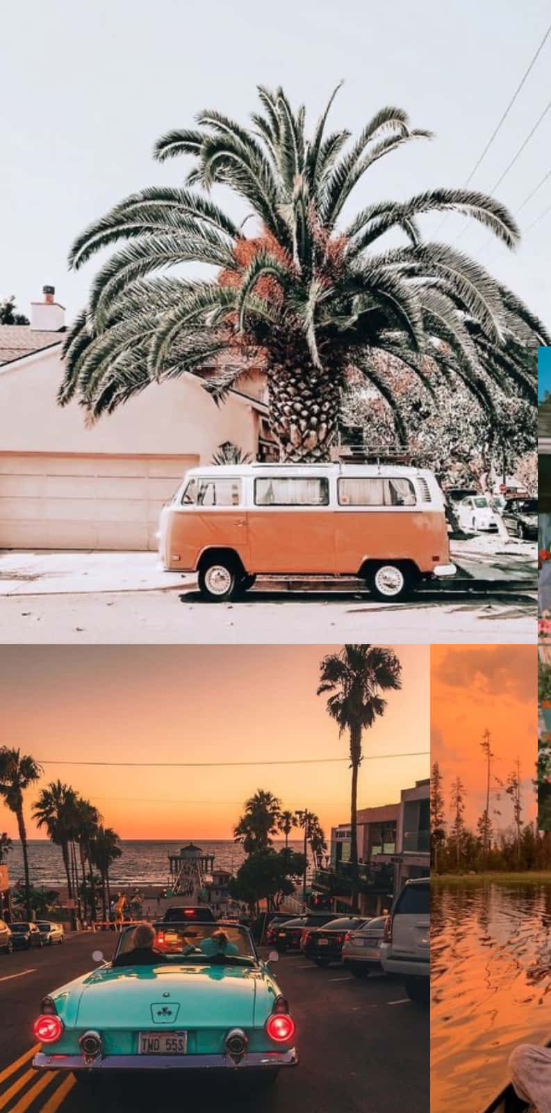 vintage orange van, towering palm tree, beachside street, HD Phone Wallpaper