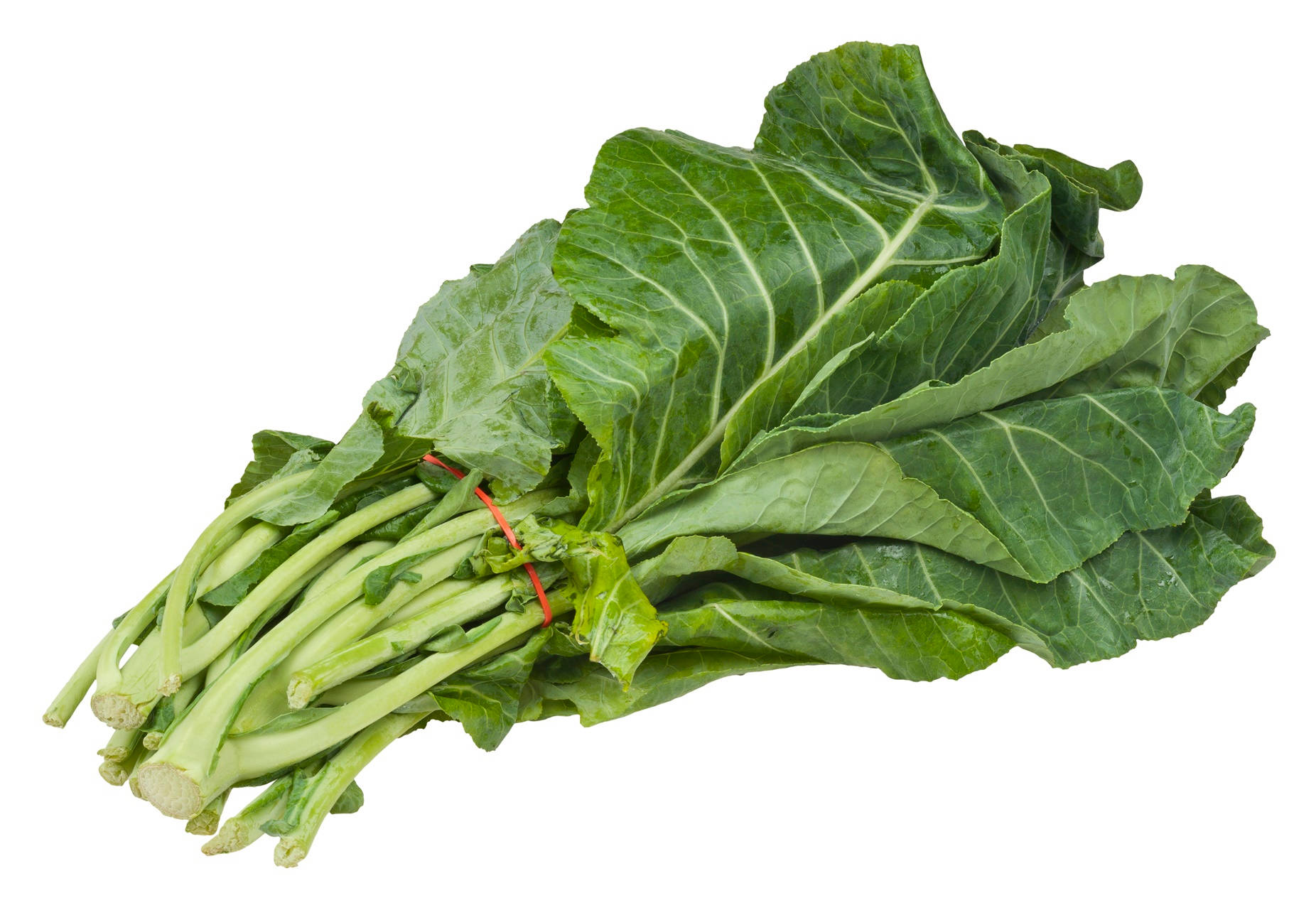 collard greens, red band, white background, HD Desktop Wallpaper